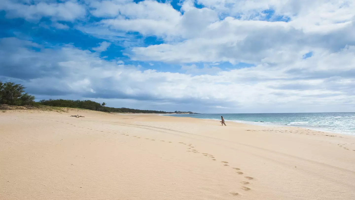 A Molokai beach