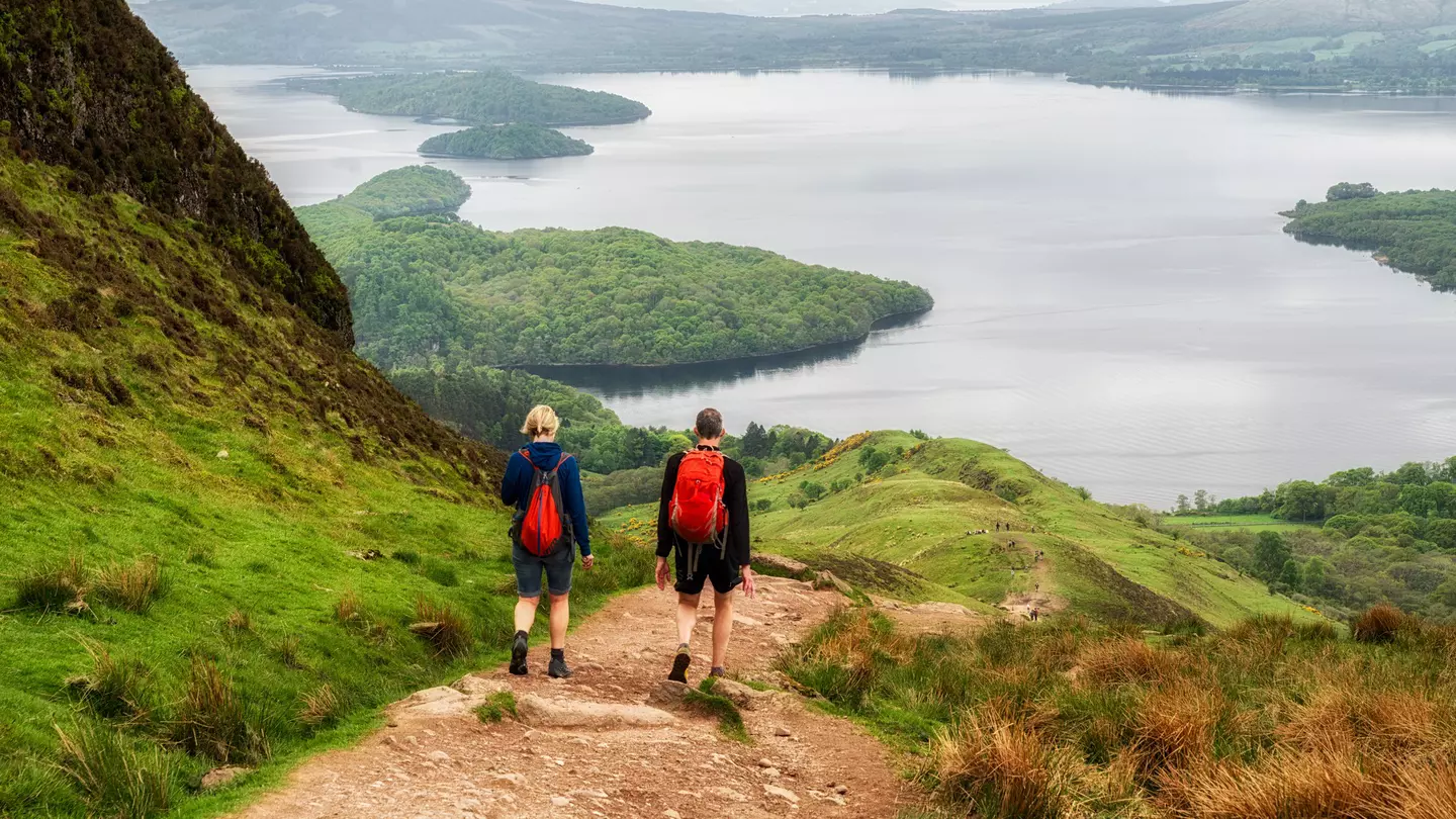 Hikers walk down a lush hill in front of a large lake.