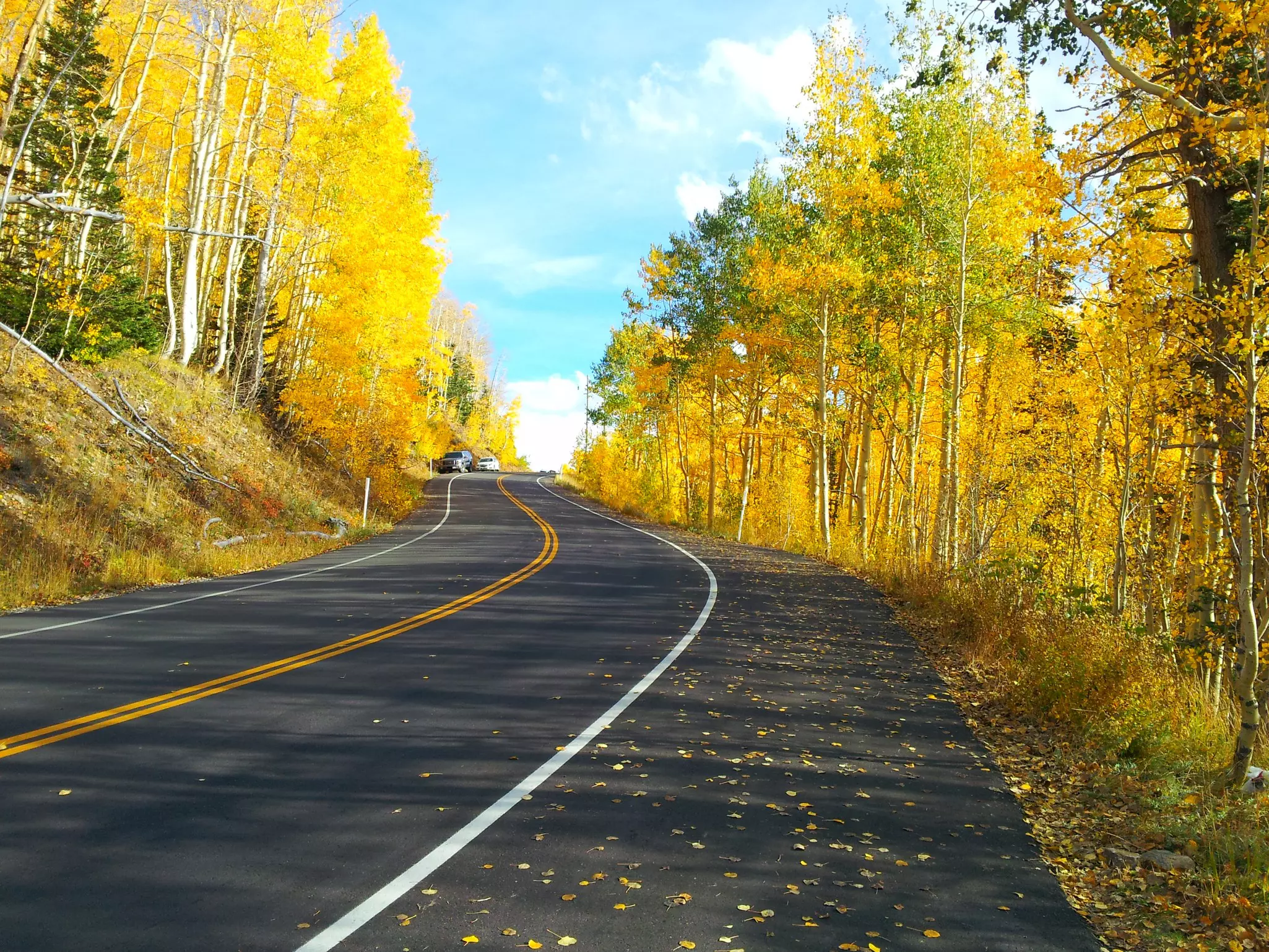 A curving, two-lane road with yellow double stripe in the middle surrounded by autumnal aspen trees with bright yellow leaves on a sunny day.