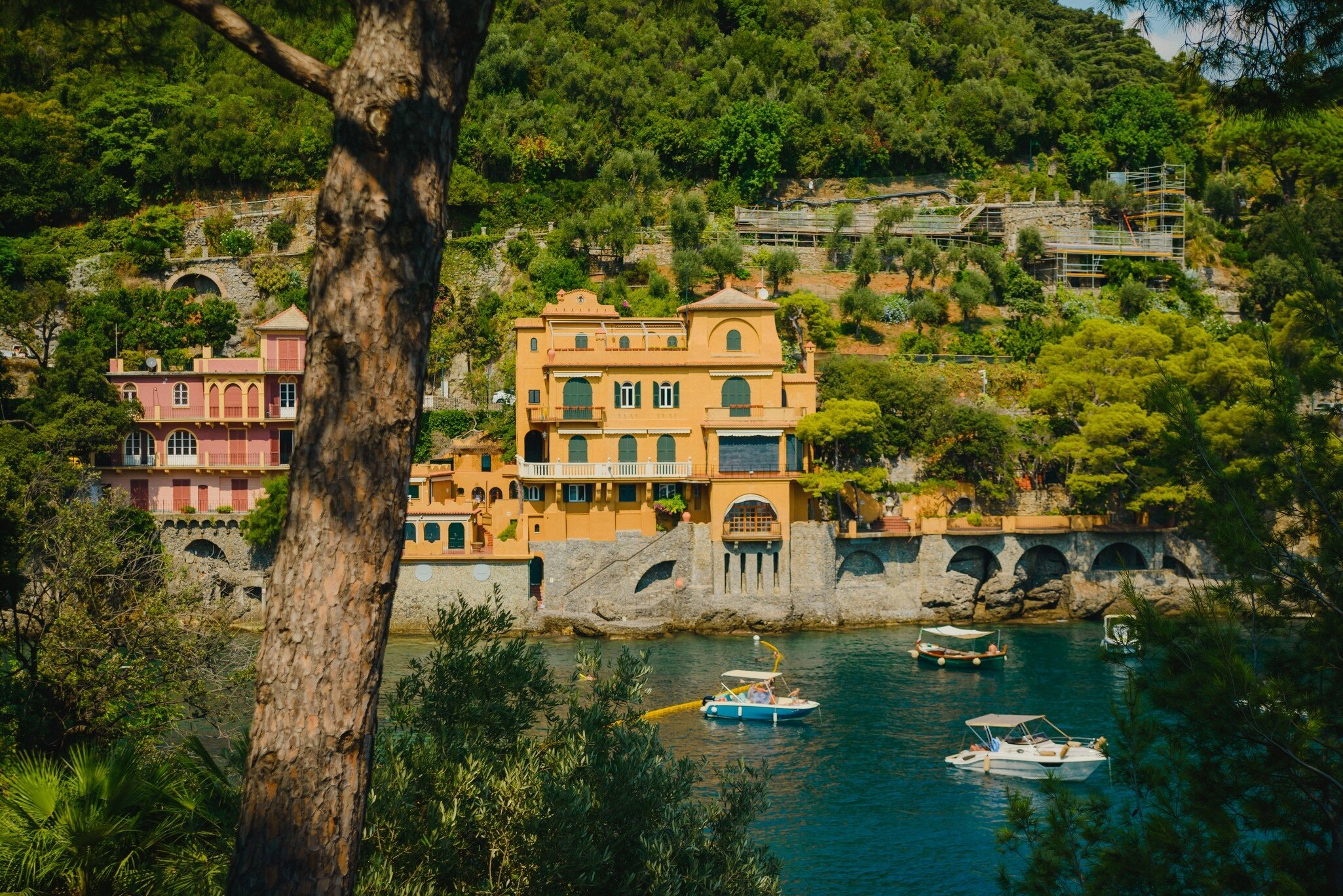 Ochre villa on a rocky shore above boats moored in a green cove in Portofino, Italy, framed by a pine trunk