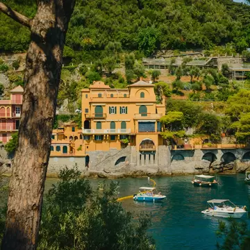 Ochre villa on a rocky shore above boats moored in a green cove in Portofino, Italy, framed by a pine trunk