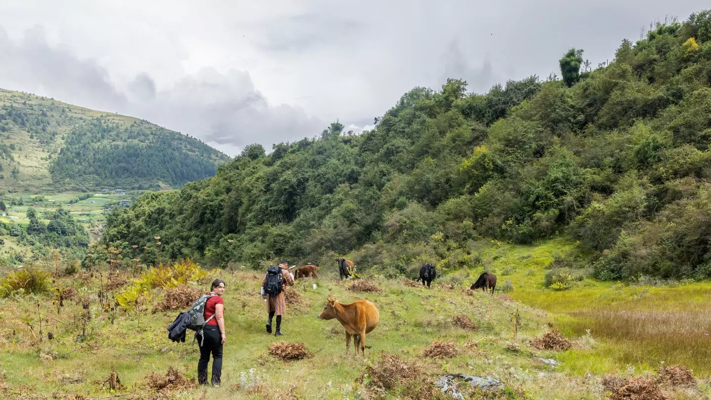 It would take most people over a month to traverse the entire Trans Bhutan Trail, but travelers can take on individual sections for more manageable trips. © Ken Spence