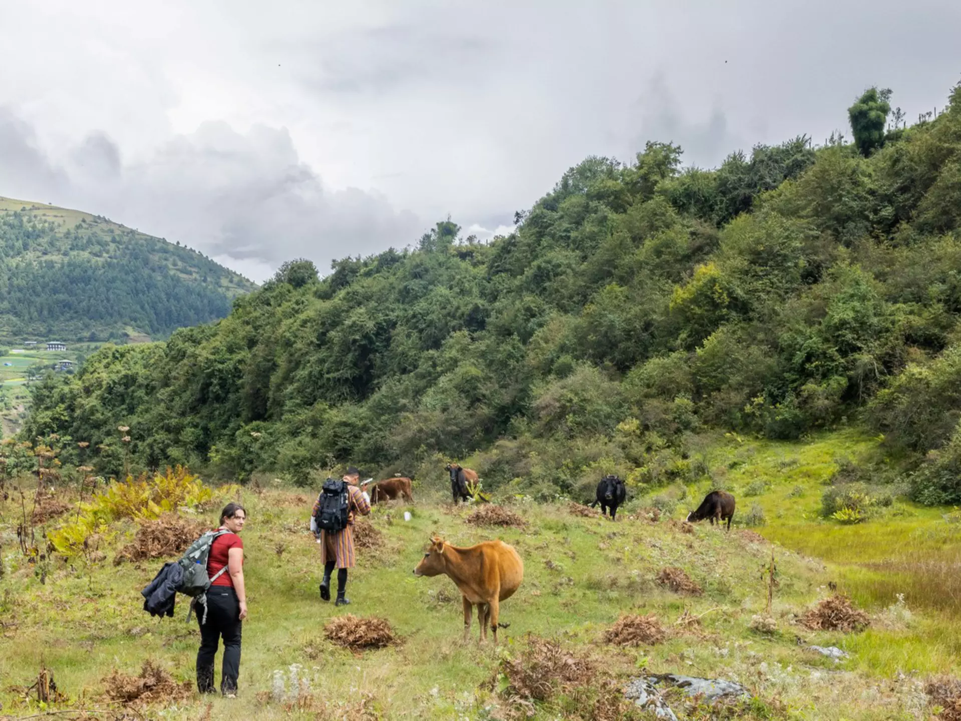 It would take most people over a month to traverse the entire Trans Bhutan Trail, but travelers can take on individual sections for more manageable trips. © Ken Spence