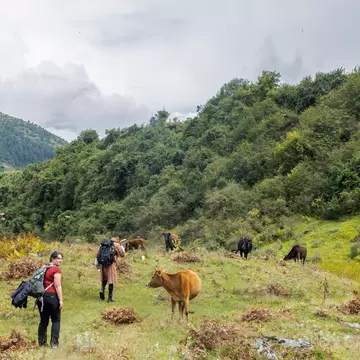 It would take most people over a month to traverse the entire Trans Bhutan Trail, but travelers can take on individual sections for more manageable trips. © Ken Spence
