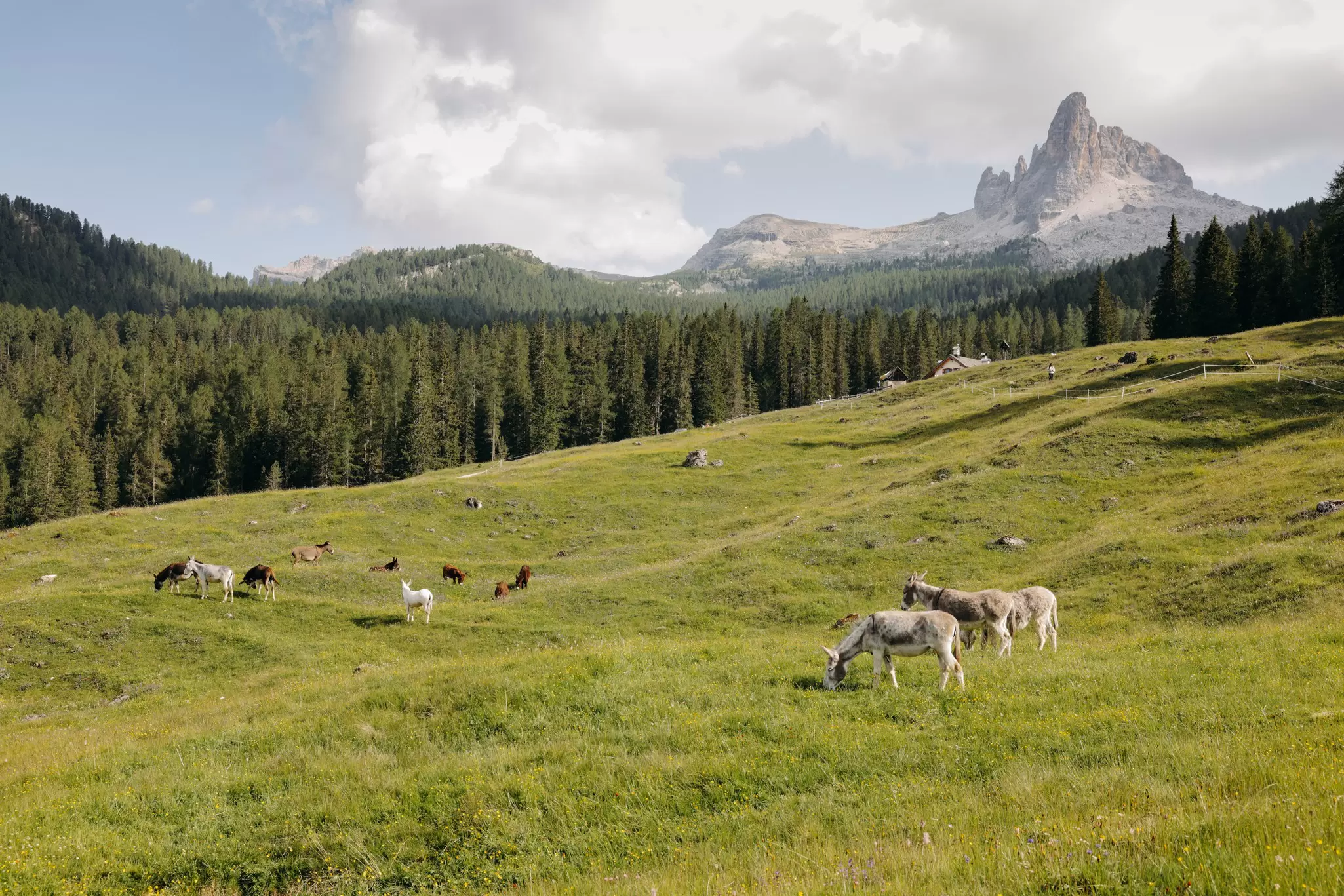 Cortina d'Ampezzo. Camilla Ferrari for Lonely Planet