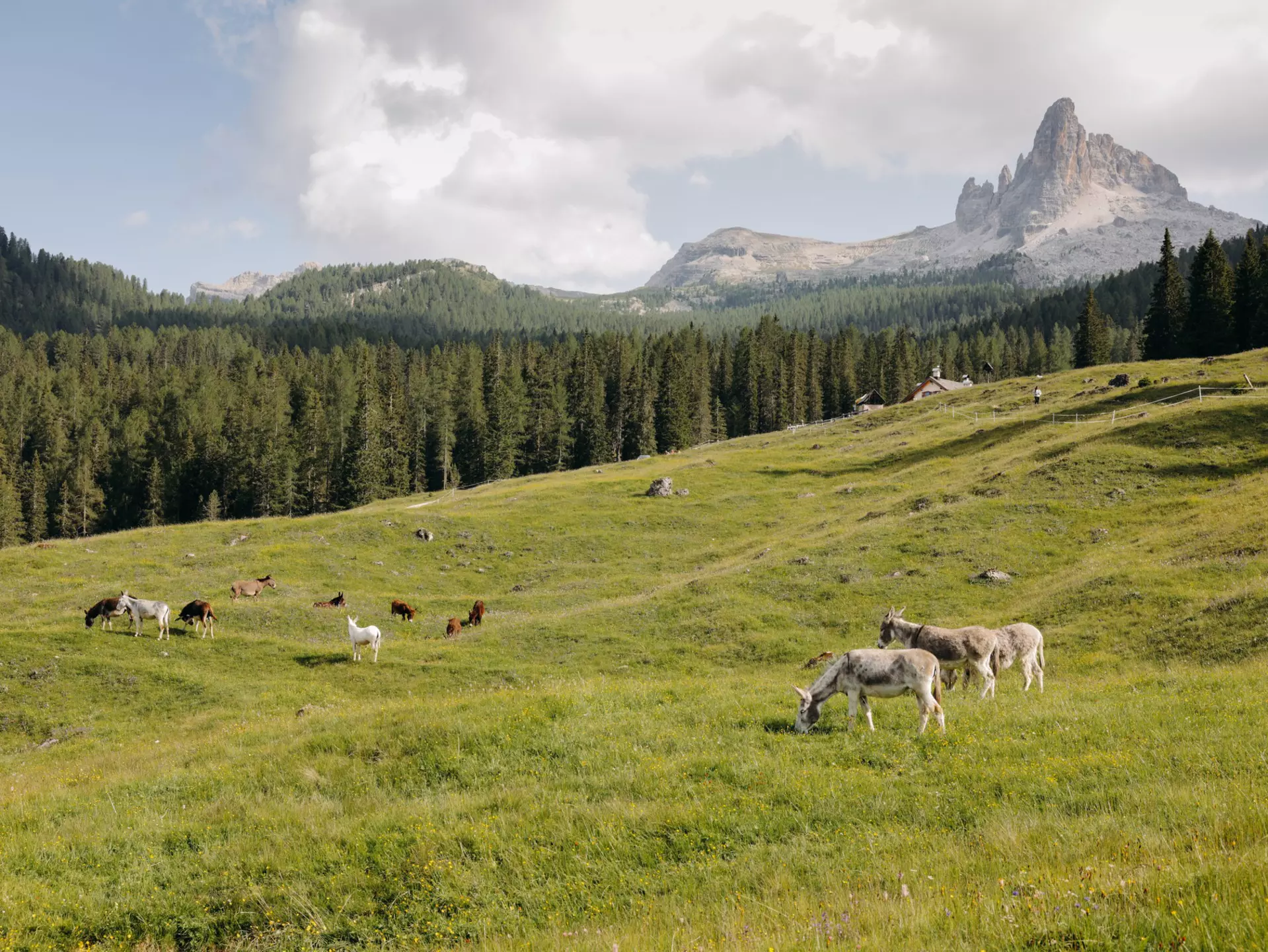 Cortina d'Ampezzo. Camilla Ferrari for Lonely Planet