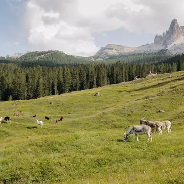 Cortina d'Ampezzo. Camilla Ferrari for Lonely Planet