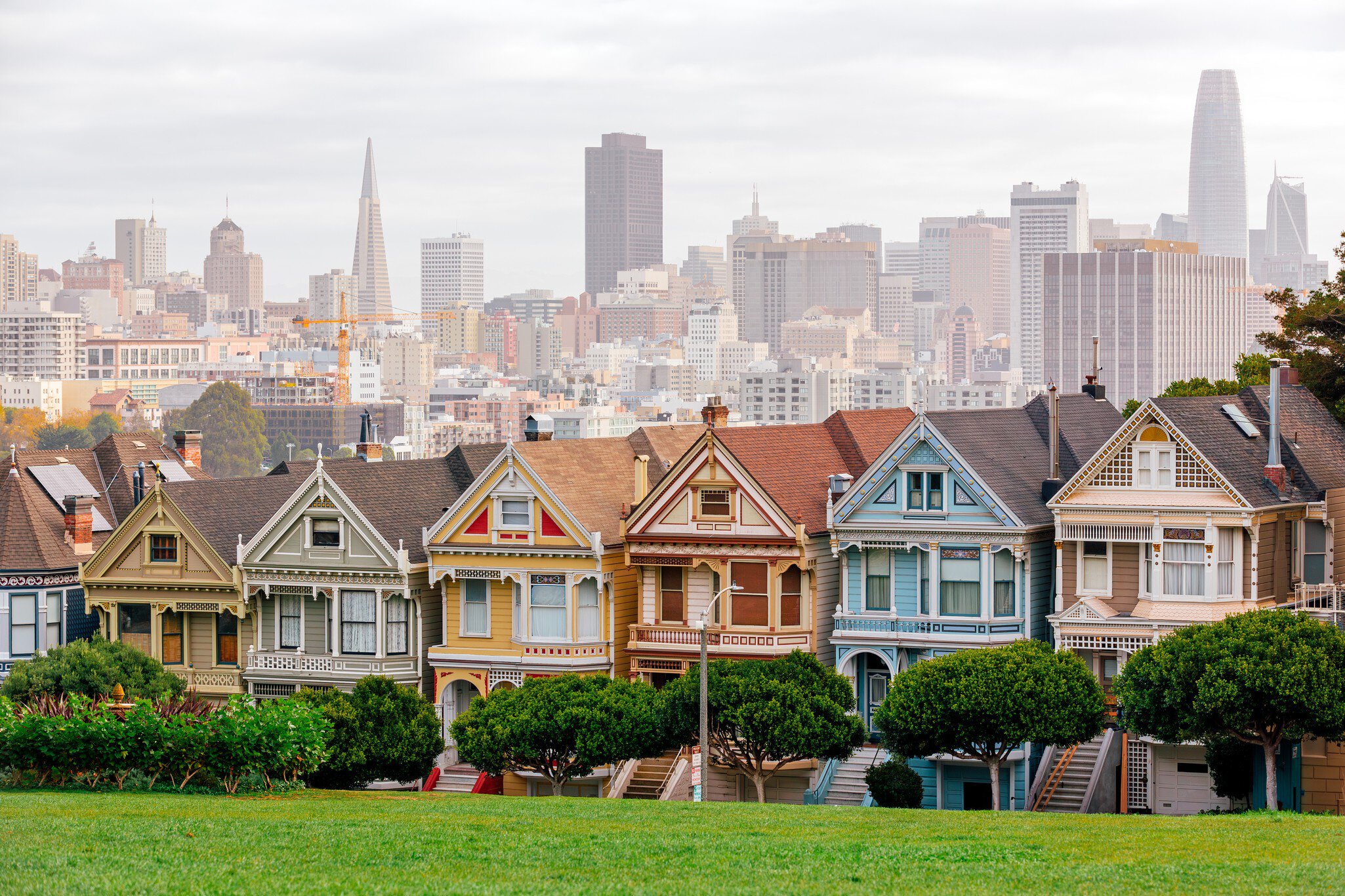 GettyImages-1495396945.jpg
Multi-colored Painted Ladies houses at Alamo Square, San Francisco, California, USA