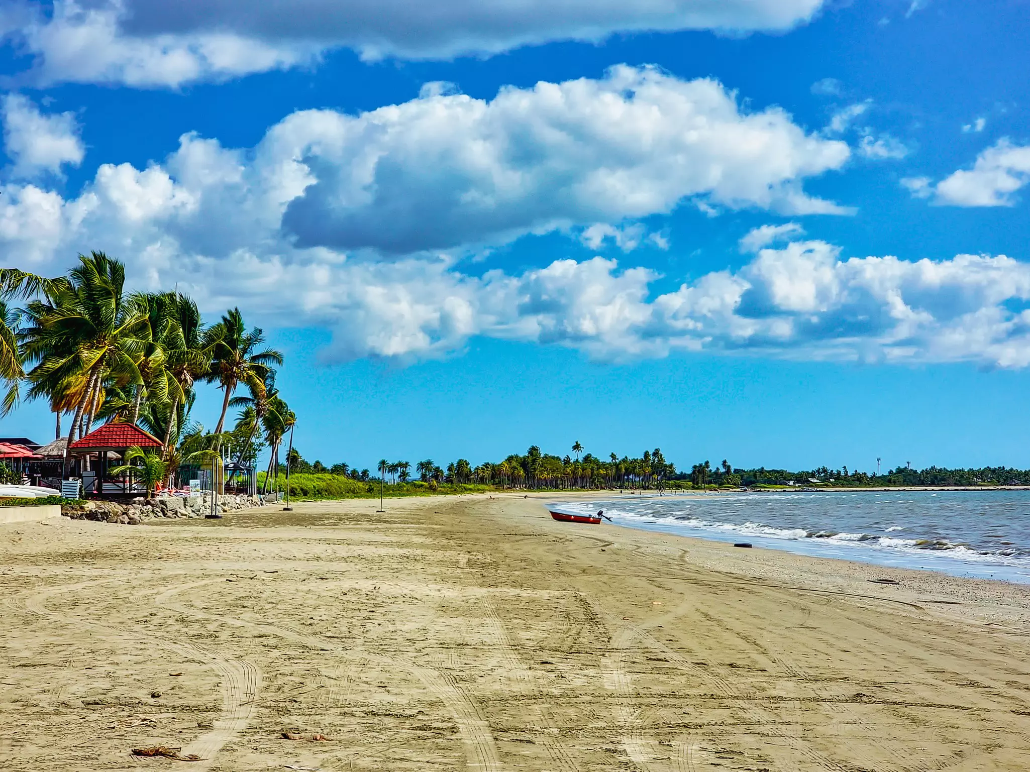 A sandy palm tree-lined beach with a small motorboat resting near the shore.