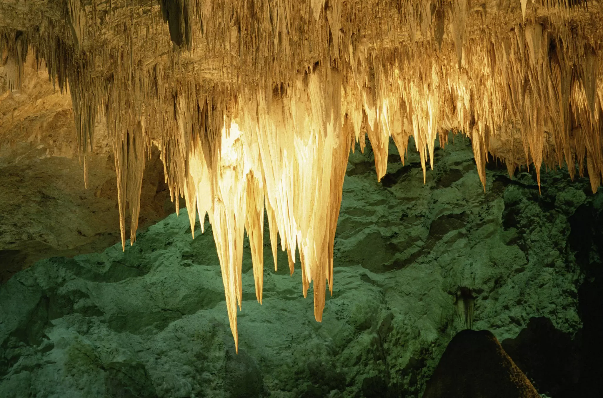 The Chandelier stalactites in Carlsbad National Park