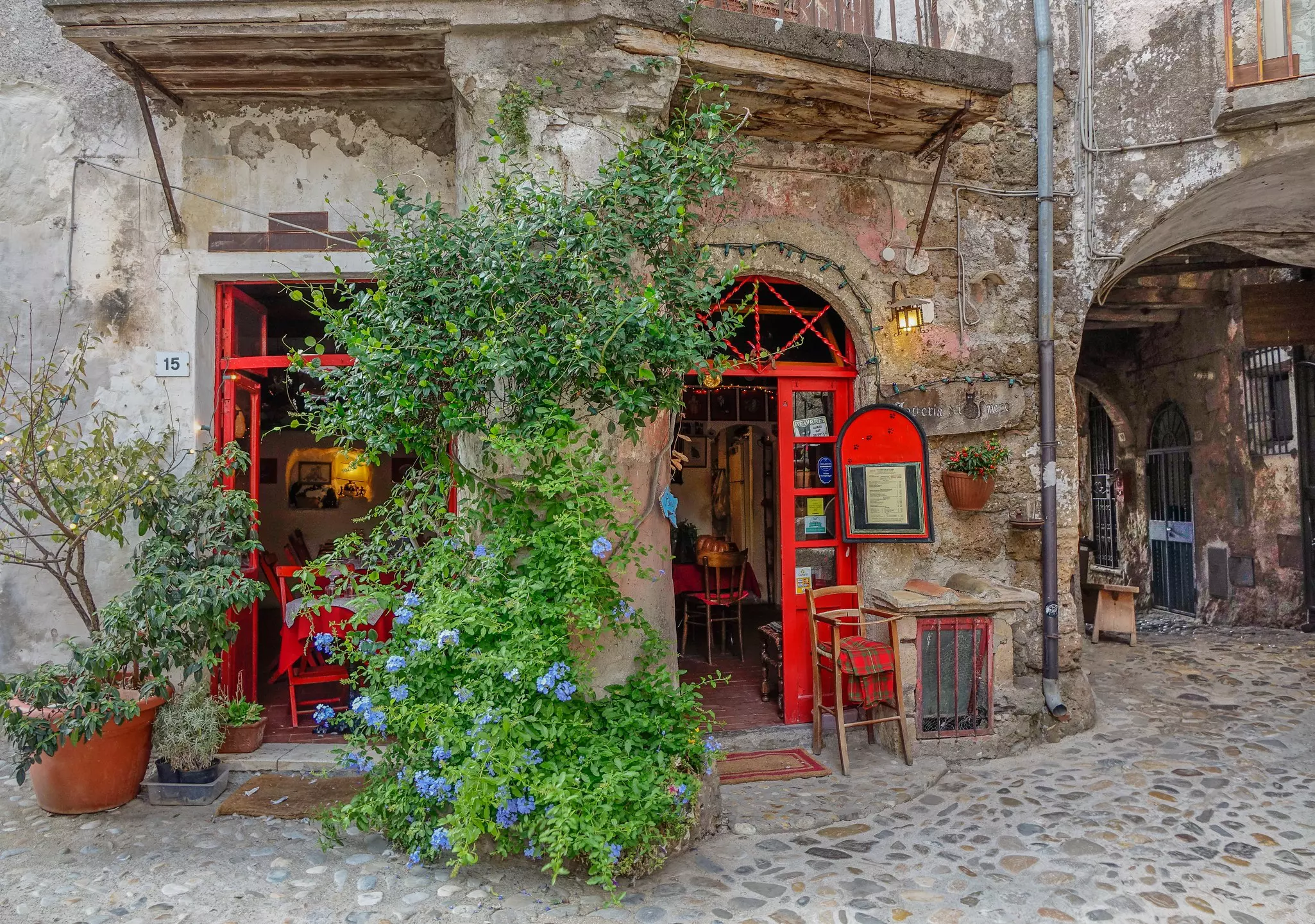 Small local two-door red with a vine between the two doors in Calcata, Lazio, Italy