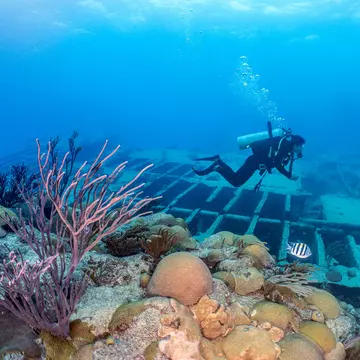 A diver underwater by a shipwreck and sea plants and rocks.