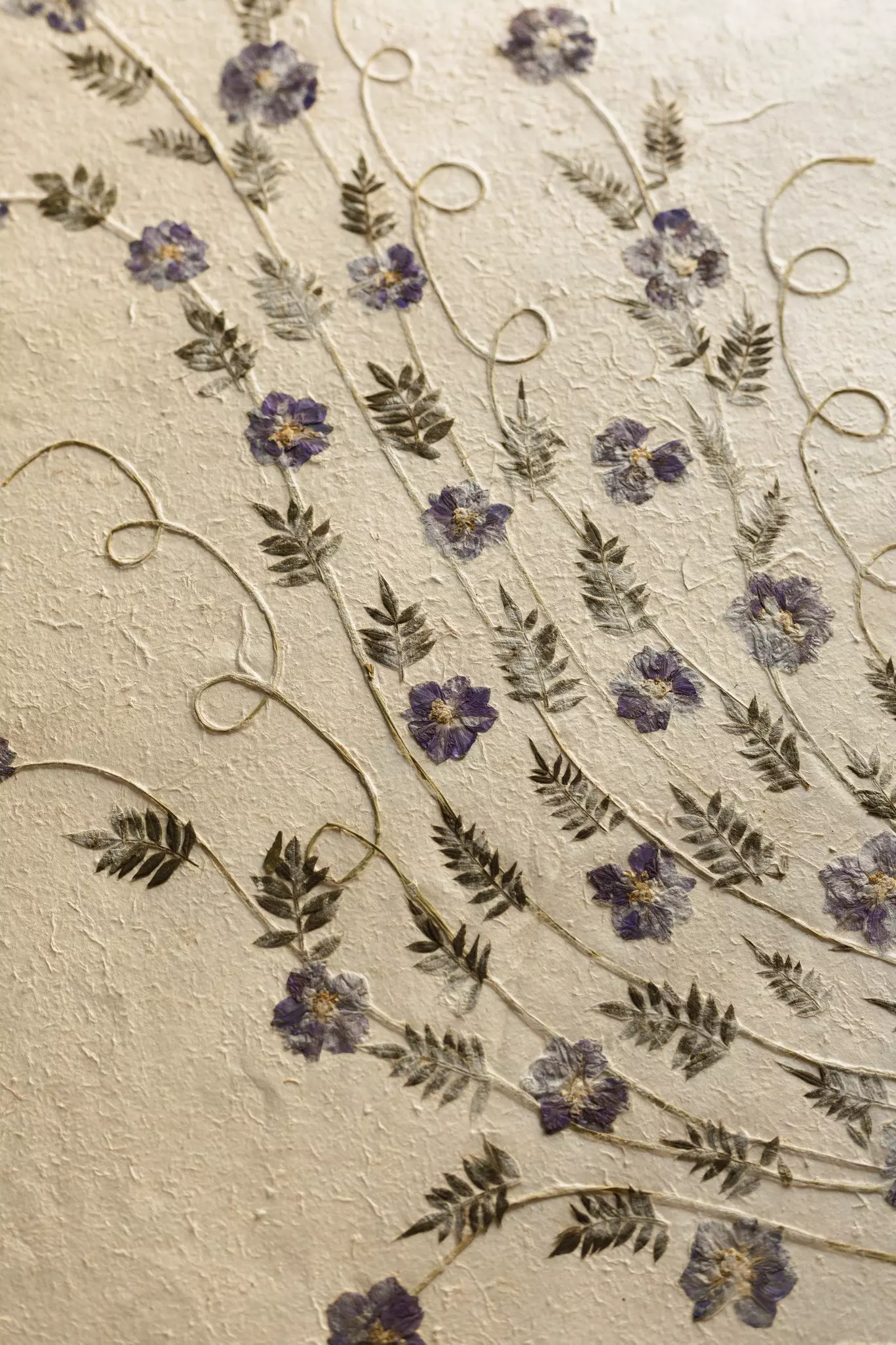 Flowers pressed into paper.