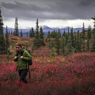1146333369
20's, 20s, 30's, 30s, alaska, america, american, asian, authentic, authenticity, backpacking, blooming, blossoming, cloud, color, colour, denali, floral, flowering, getaway, holiday, isolation, landscape, male, natural, one, pastime, person, recreation, remote, seclusion, thirties, thirty, traveling, travelling, trip, twenties, twenty, u.s., us, vegetation