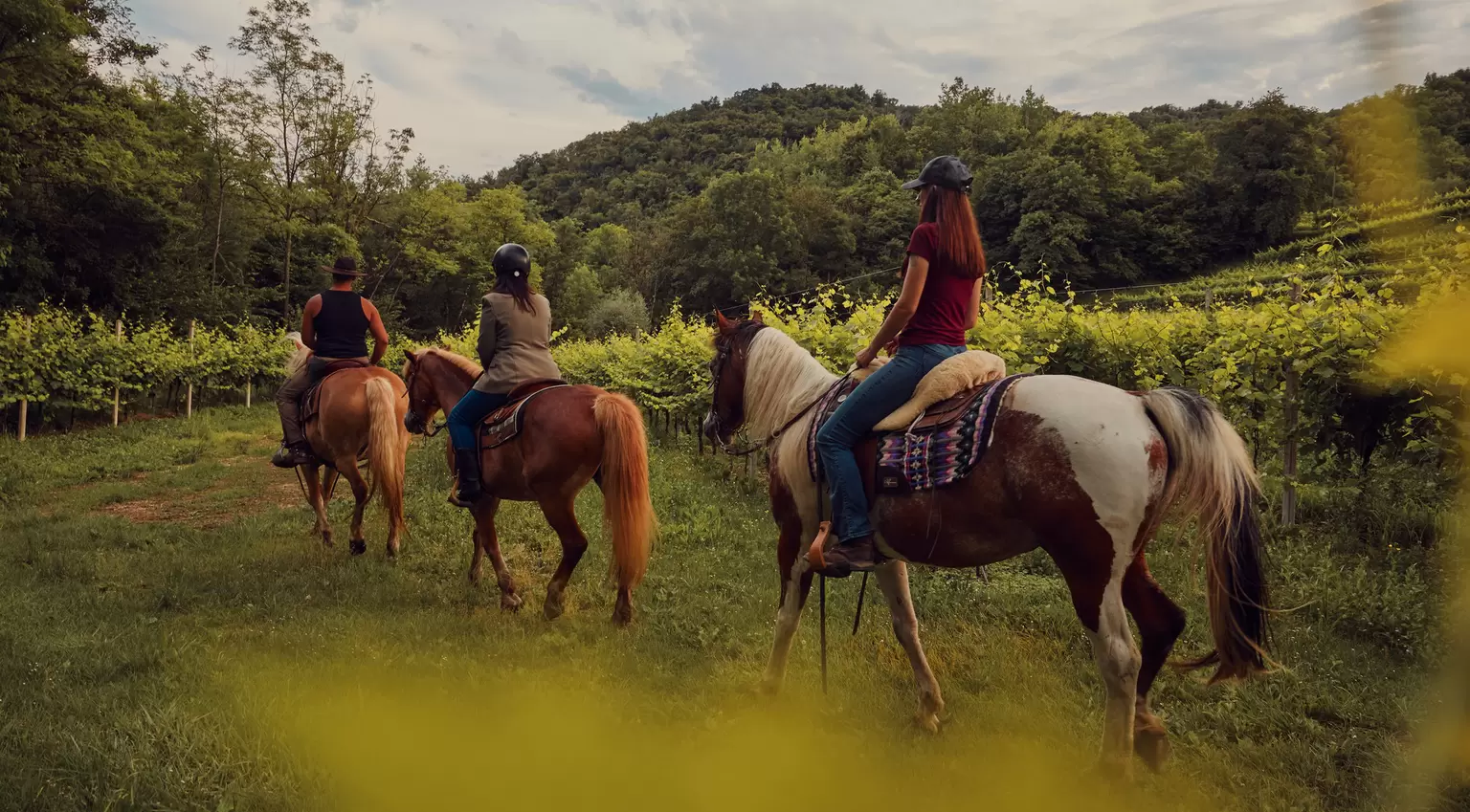 Veneto, Italy, horseback riding, horse, vineyards, vineyard, wine region, equestrian, local guide, horse guide, countryside, rural landscape, wine tourism, outdoor adventure, travel, nature, agriculture, chiara bonetti, lonely planet, veneto, italy, june 2026