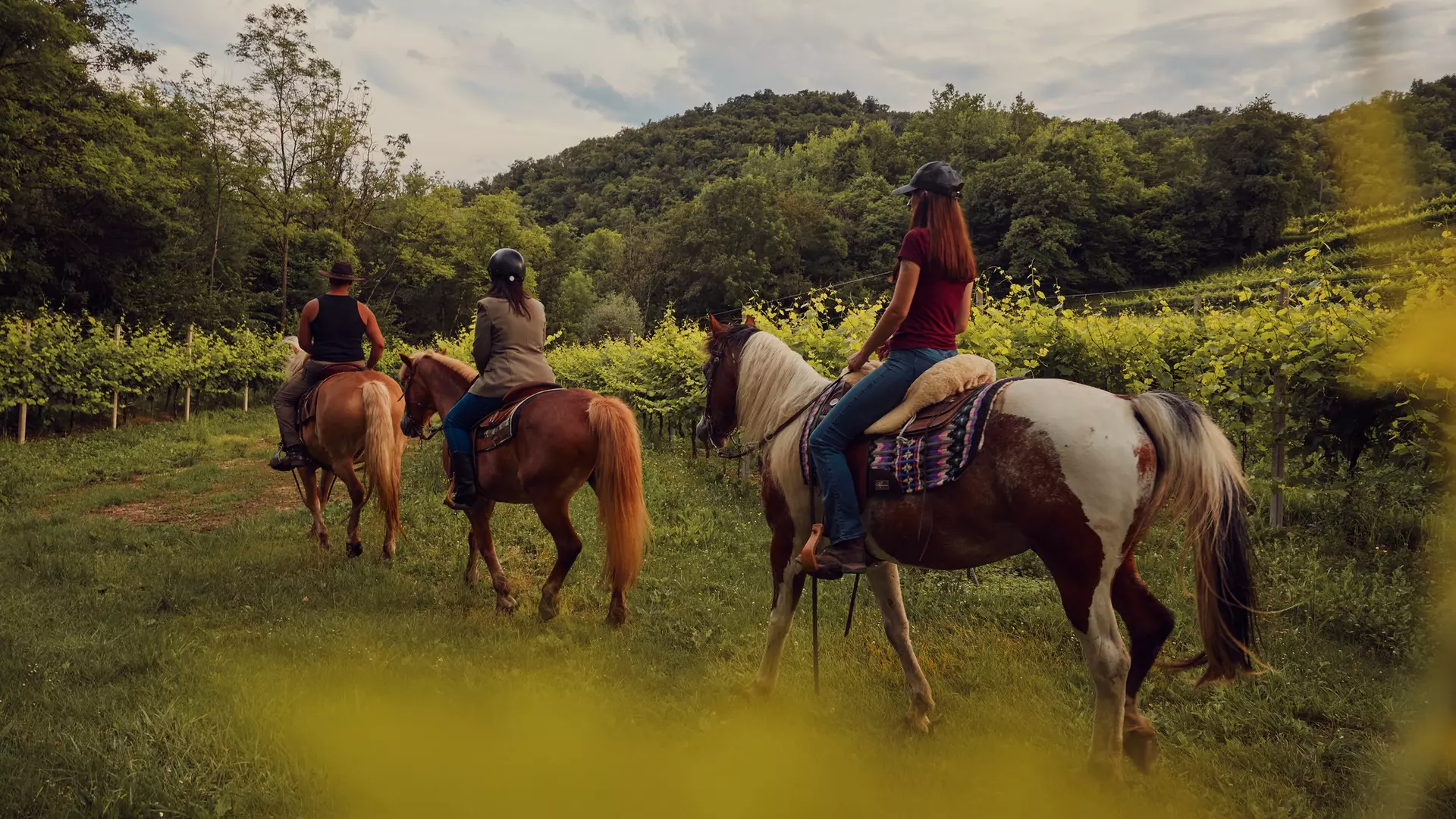 Veneto, Italy, horseback riding, horse, vineyards, vineyard, wine region, equestrian, local guide, horse guide, countryside, rural landscape, wine tourism, outdoor adventure, travel, nature, agriculture, chiara bonetti, 