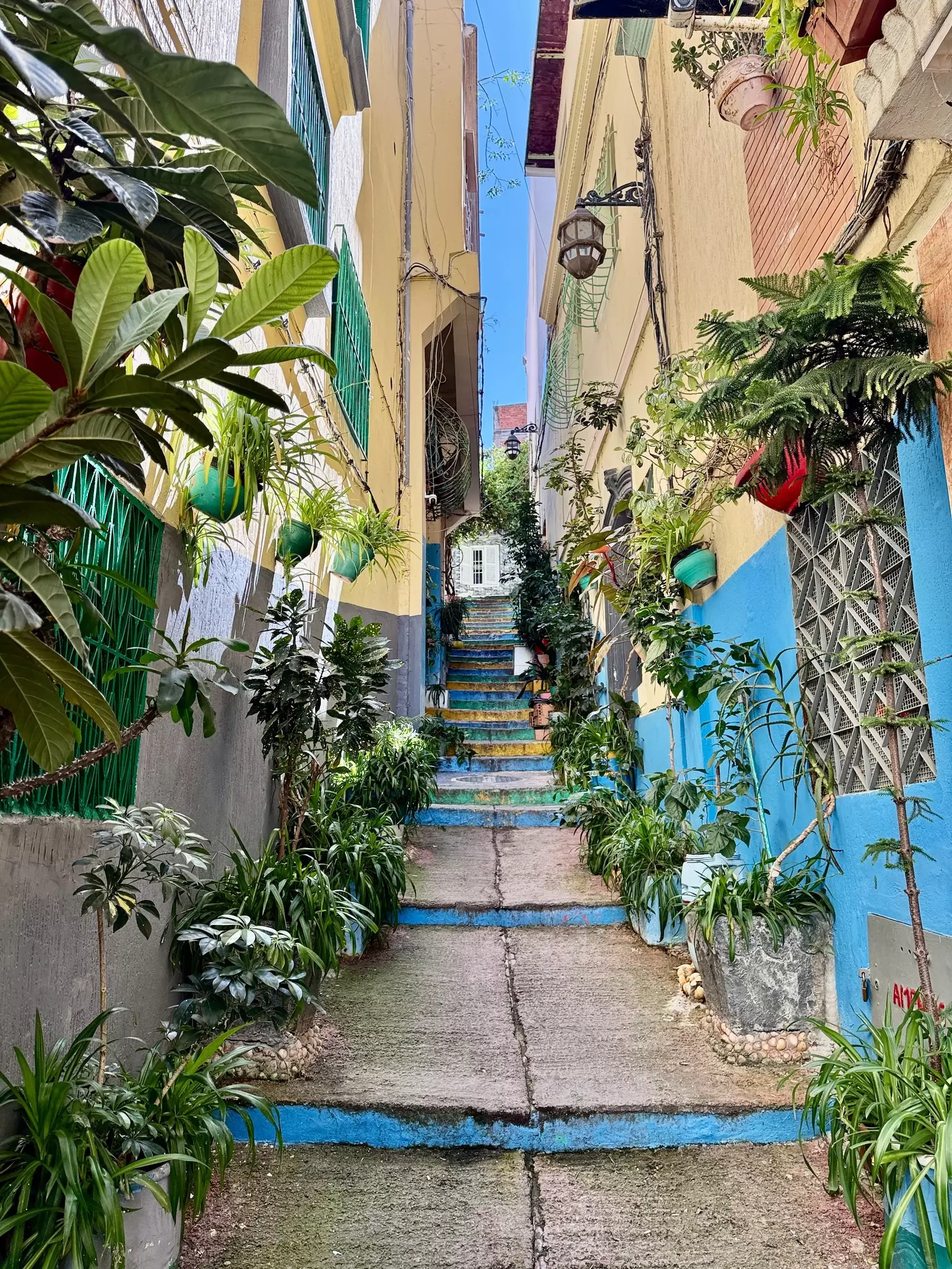 A narrow street in Tangier, Morocco. with buildings painted blue and plants outside 