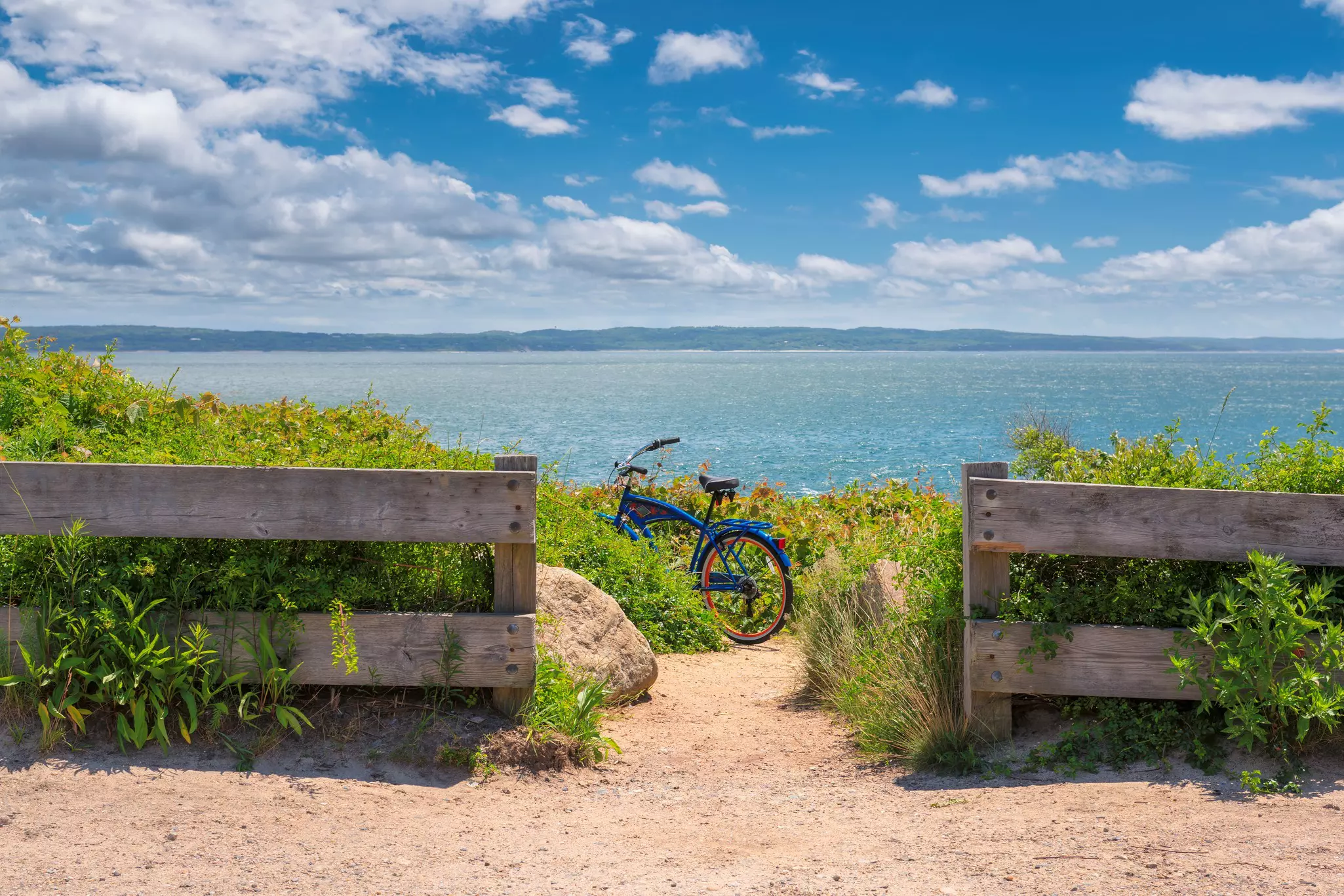A blue bike nestled among green beach plants along a sandy beach path down to the ocean.