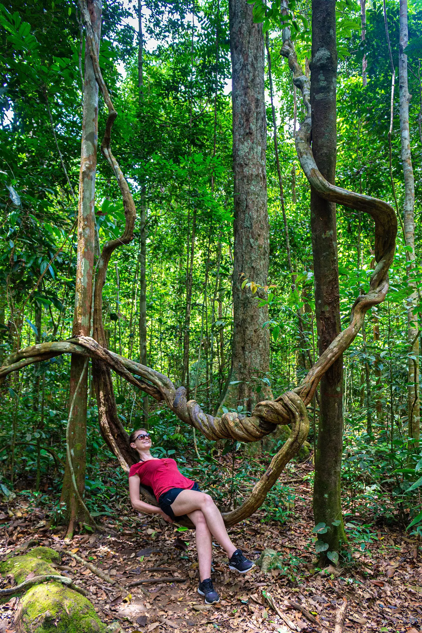 ALTER DO CHAO, BRAZIL. Woman lies in Amazon forest lianas that can be seen during a walk through the  Floresta Nacional do Tapajós - National Forest, Brazil