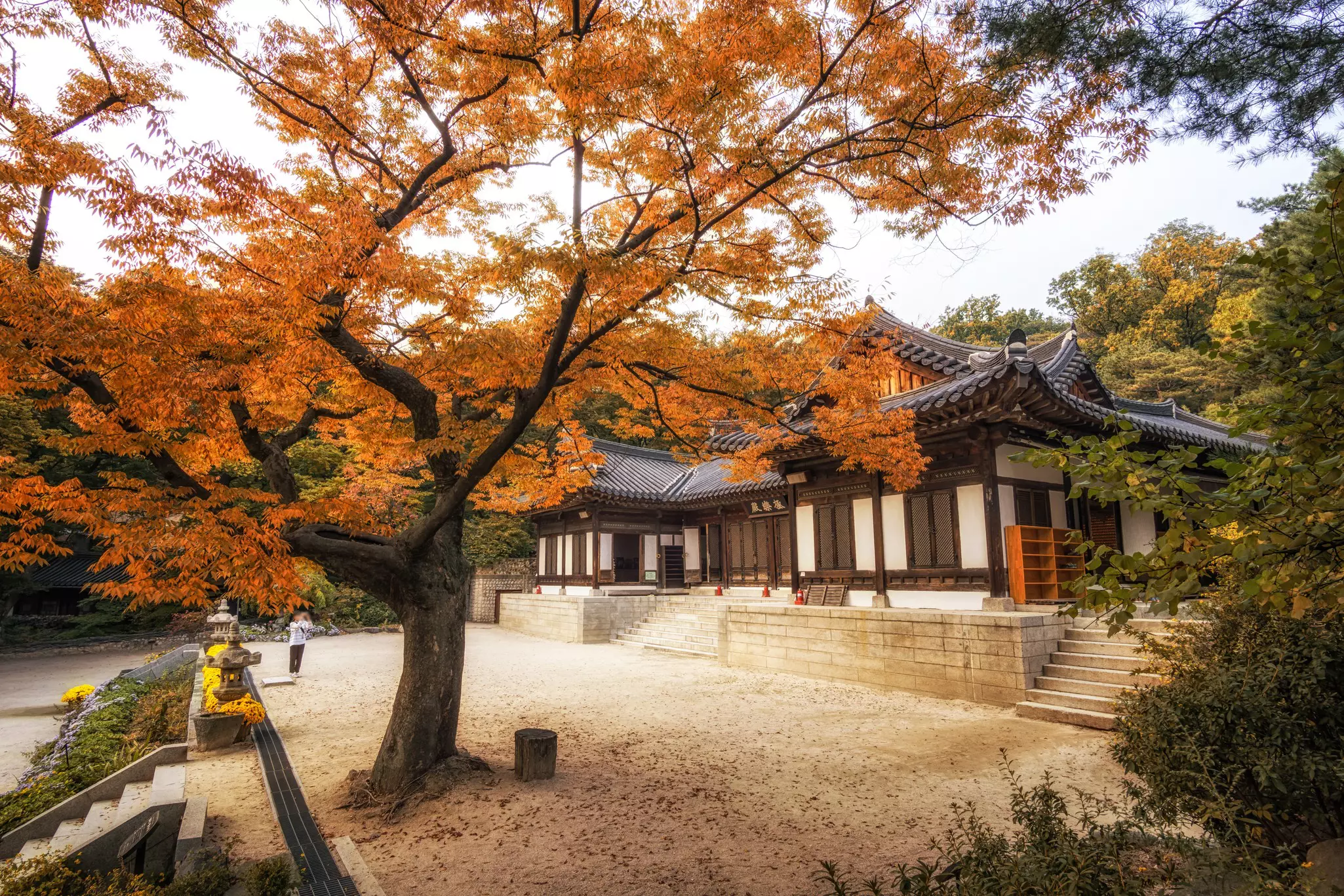 Gilsang-sa temple in Seoul, South Korea, with a tree with orange leaves