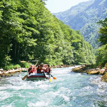 shutterstock_73721557.jpg