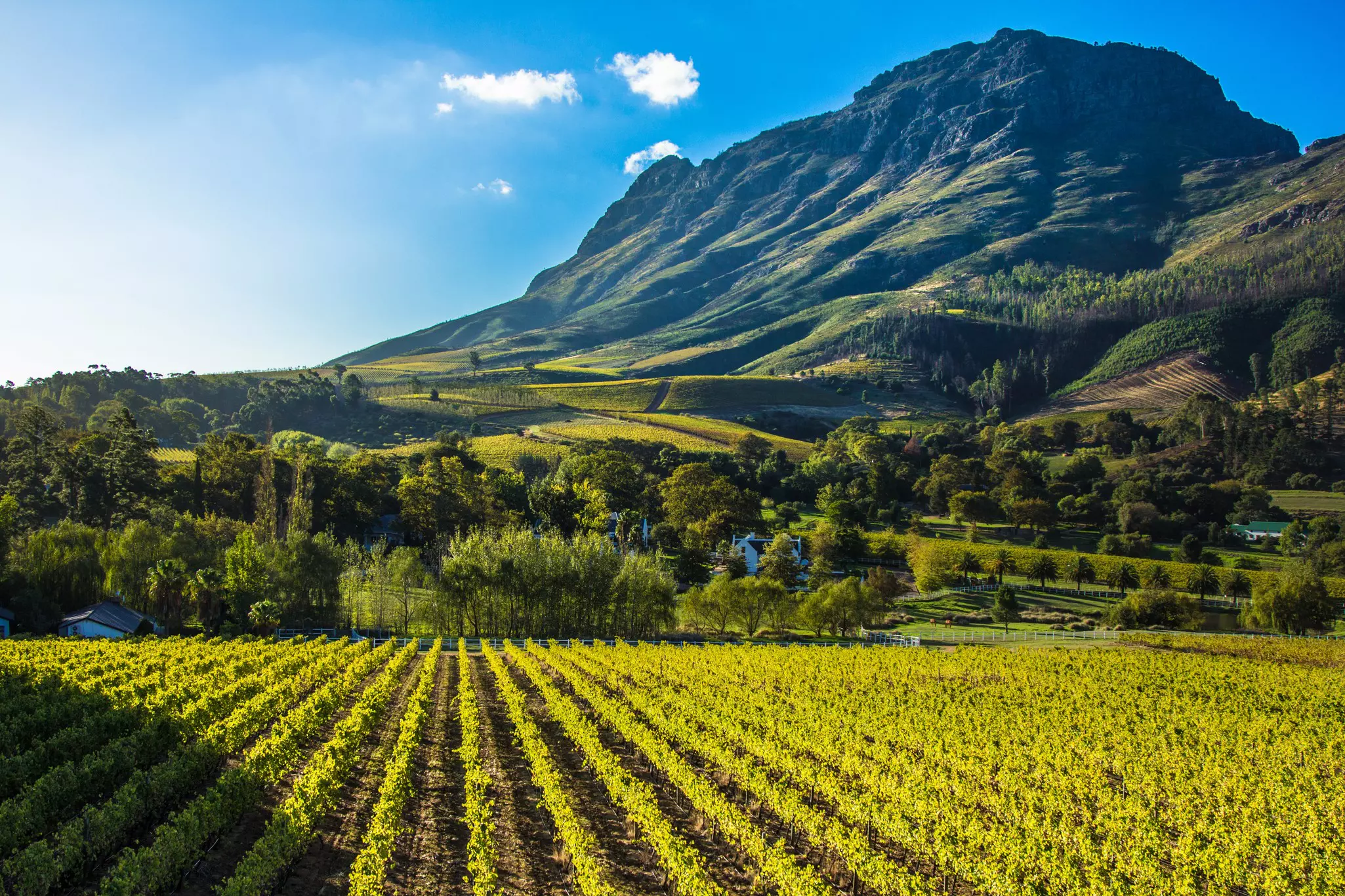 A week in Cape Town will allow you to explore beyond the beaches and into the Winelands. jamespenry/Getty Images