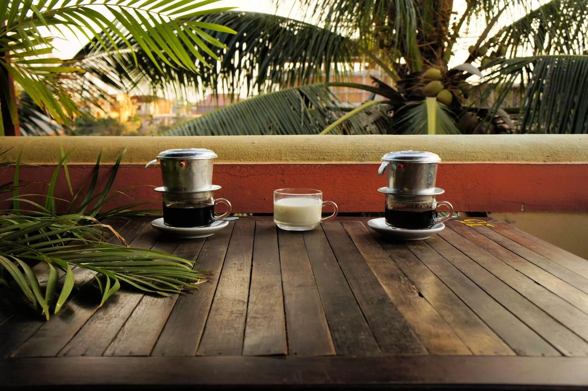 Coffee dripping in Vietnamese style with milk Ca Phe Sua under palm trees.
aluminum, asia, asian, background, beverage, black, boiling, brew, brewed, brewing, cafe, caphe, coffee, condensed, container, cup, drink, drip, effect, filter, flavor, glass, gourmet, hot, instagram, milk, pot, preparation, refreshment, restaurant, spoon, strong, style, sua, sweet, table, traditional, two, vietnam, vietnamese, vintage, water, white