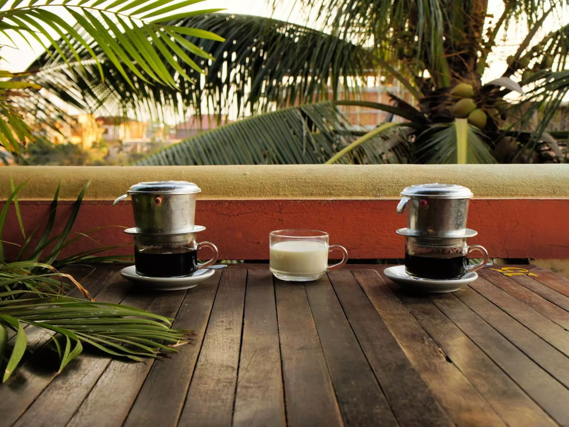 Coffee dripping in Vietnamese style with milk Ca Phe Sua under palm trees.
aluminum, asia, asian, background, beverage, black, boiling, brew, brewed, brewing, cafe, caphe, coffee, condensed, container, cup, drink, drip, effect, filter, flavor, glass, gourmet, hot, instagram, milk, pot, preparation, refreshment, restaurant, spoon, strong, style, sua, sweet, table, traditional, two, vietnam, vietnamese, vintage, water, white