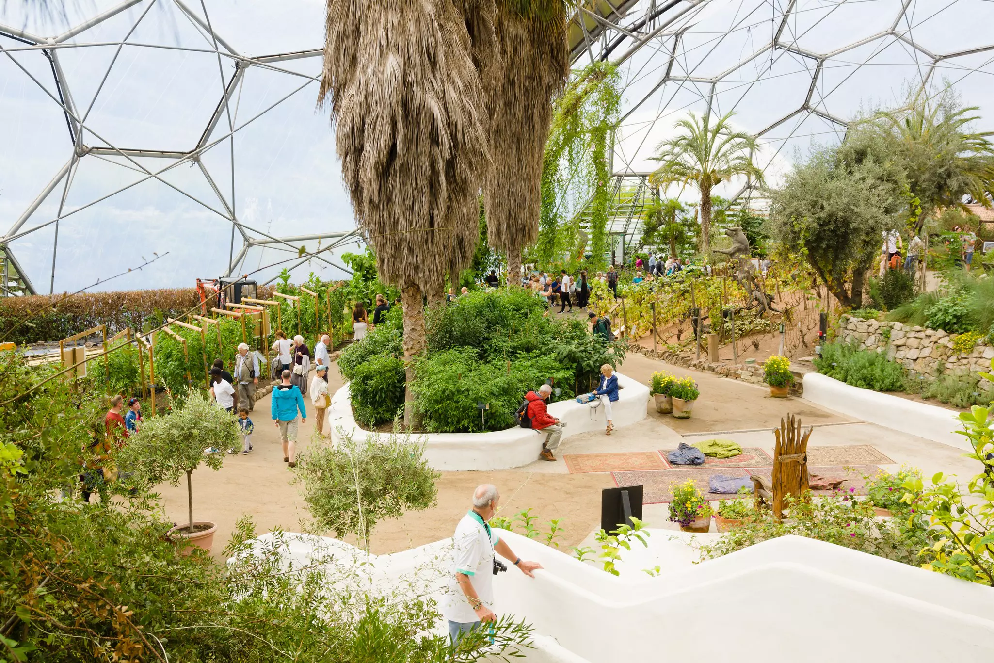 The Eden Project Mediterranean biome