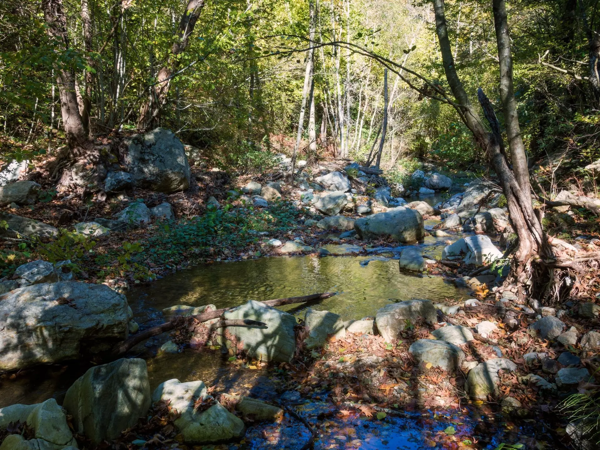 Amazing mountainous scenery near the little waterfall of Varvara, Chalkidiki, Greece, License Type: media, Download Time: 2025-11-29T21:24:14.000Z, User: LP_YKhanna, Editorial: false, purchase_order: 65050 - Digital Destinations and Articles, job: LP, client: App Content, other: Yuvraj Khanna