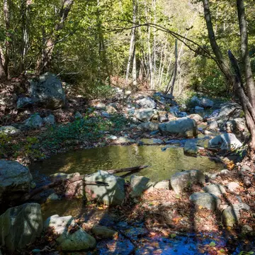 Amazing mountainous scenery near the little waterfall of Varvara, Chalkidiki, Greece, License Type: media, Download Time: 2025-11-29T21:24:14.000Z, User: LP_YKhanna, Editorial: false, purchase_order: 65050 - Digital Destinations and Articles, job: LP, client: App Content, other: Yuvraj Khanna