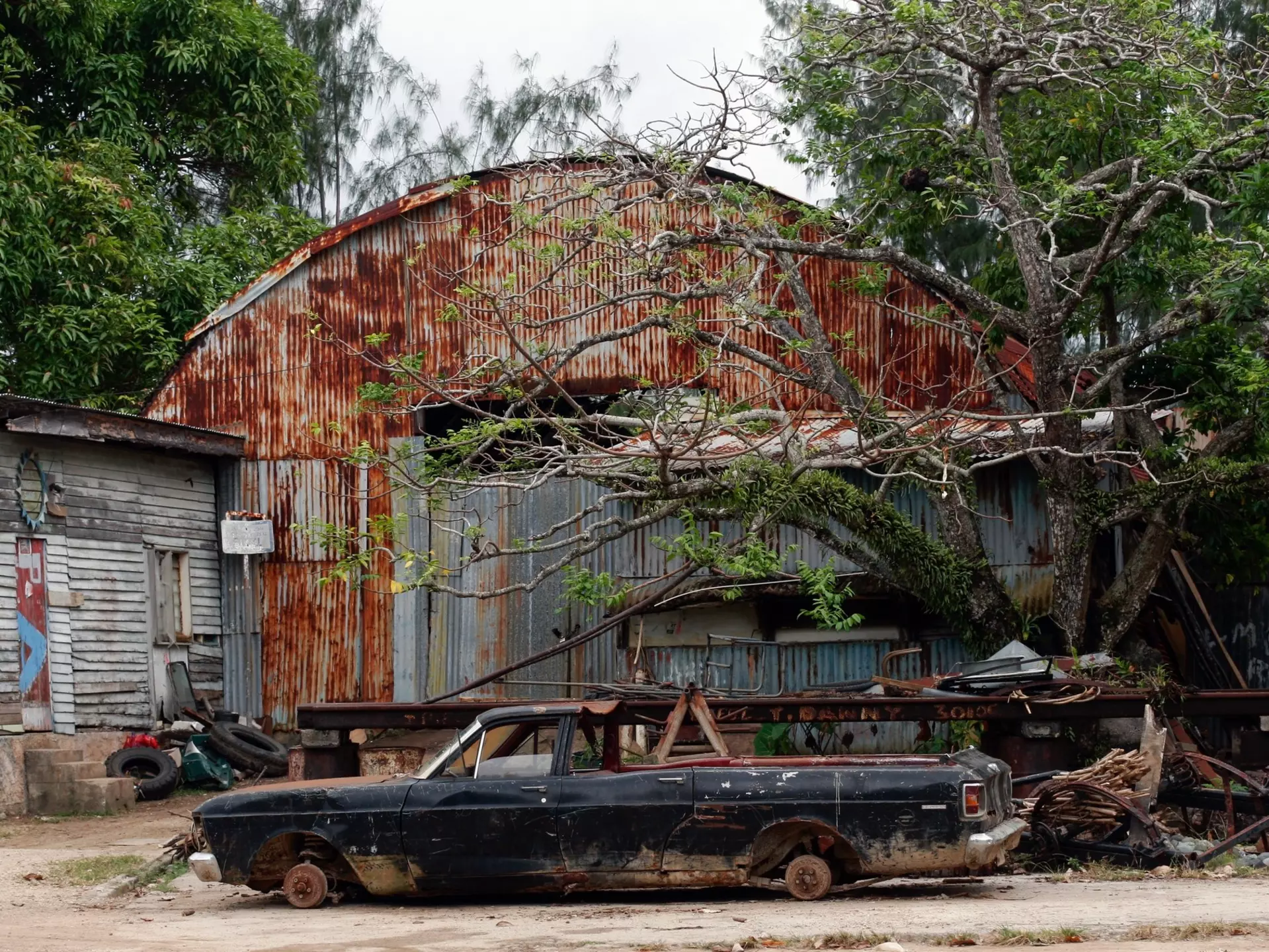 Rusted corrugated metal at an old diggings site in Pilgrim’s Rest