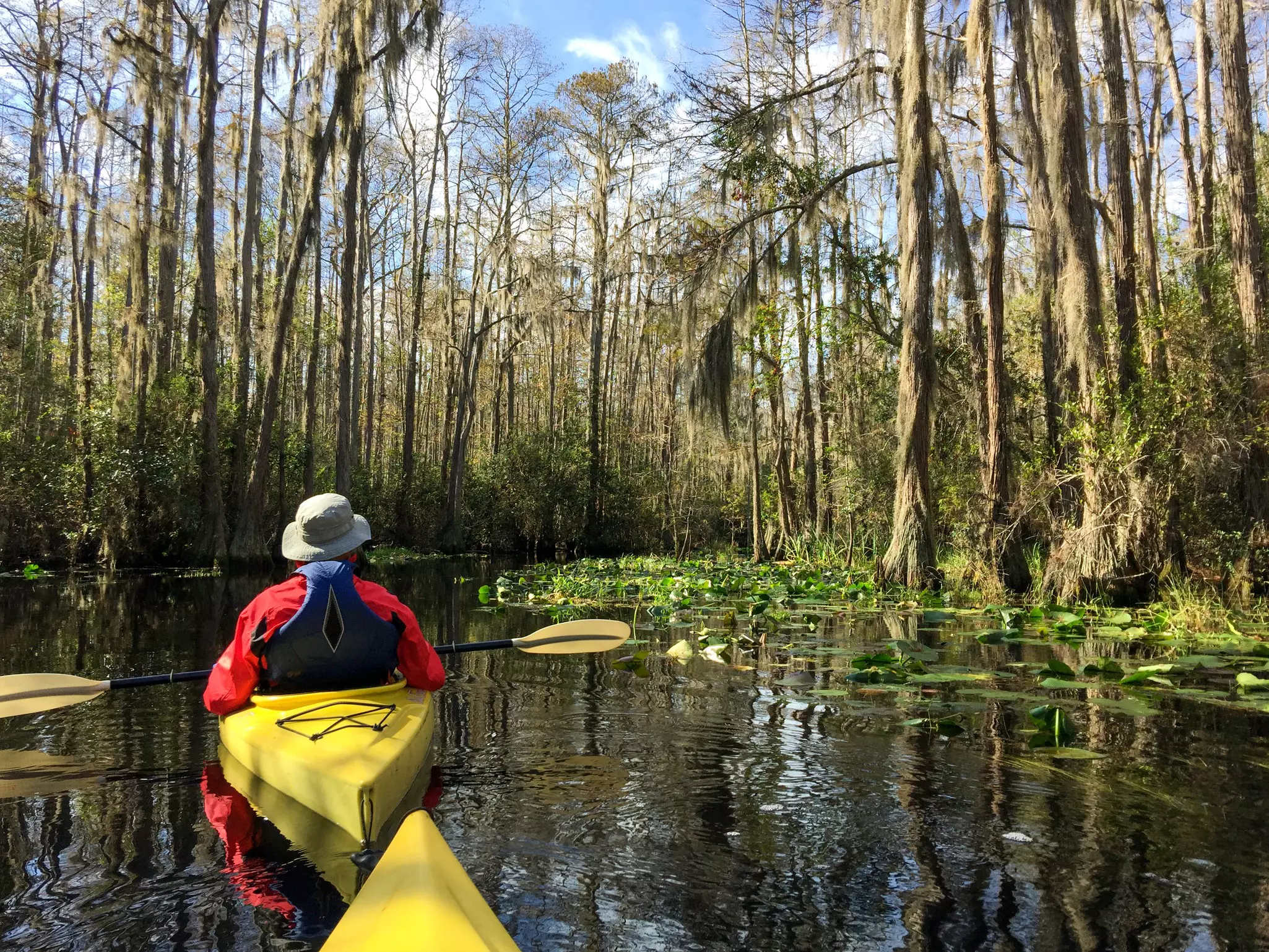 A couple kayaking through the swamps in Okefenokee National Wildlife Refuge, USA.