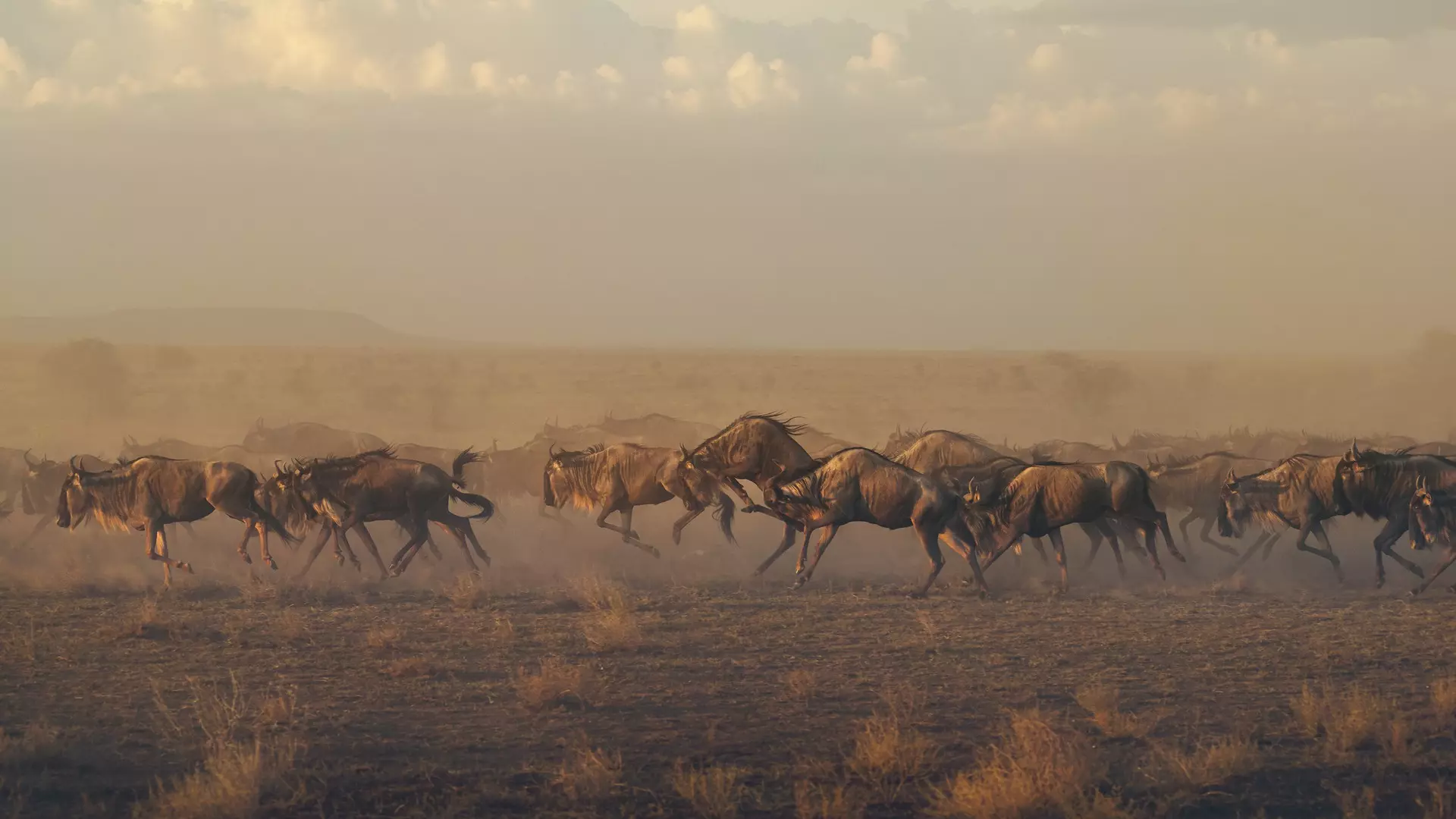 Jonathan Gregson / Lonely Planet