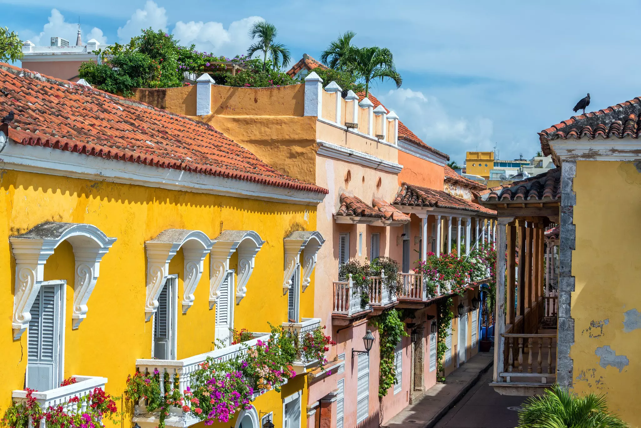 Colonial buildings and balconies in the historic center of Cartagena