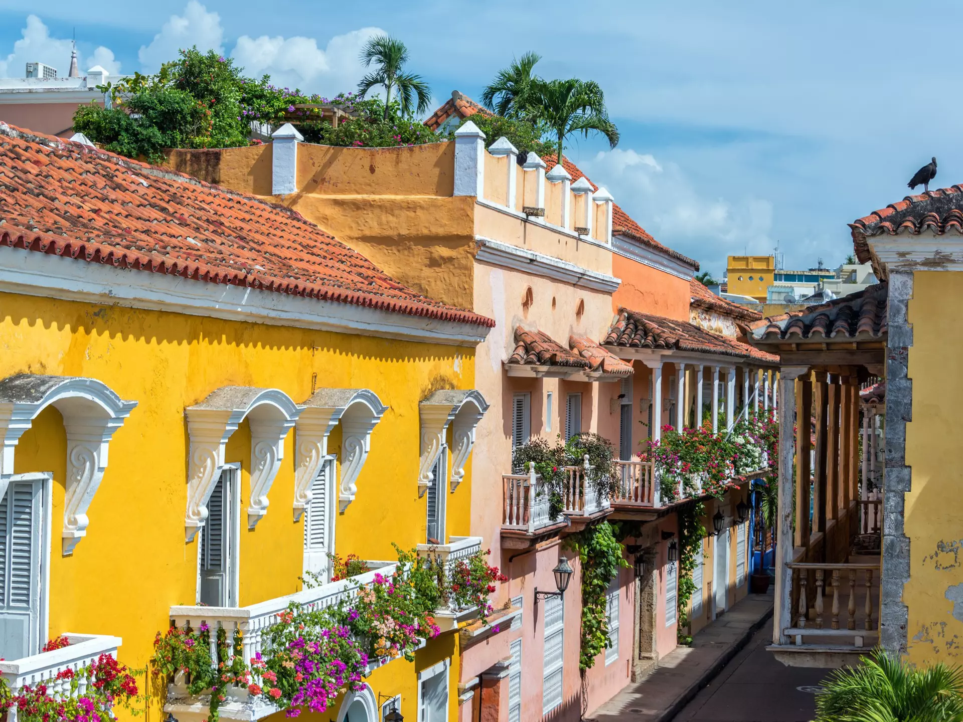 From Cartagena to the Amazon, Colombia is packed with adventure © Jess Kraft / Shutterstock