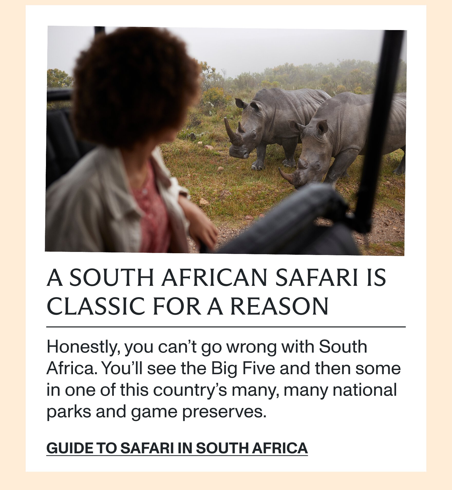 Guide to safari in South Africa