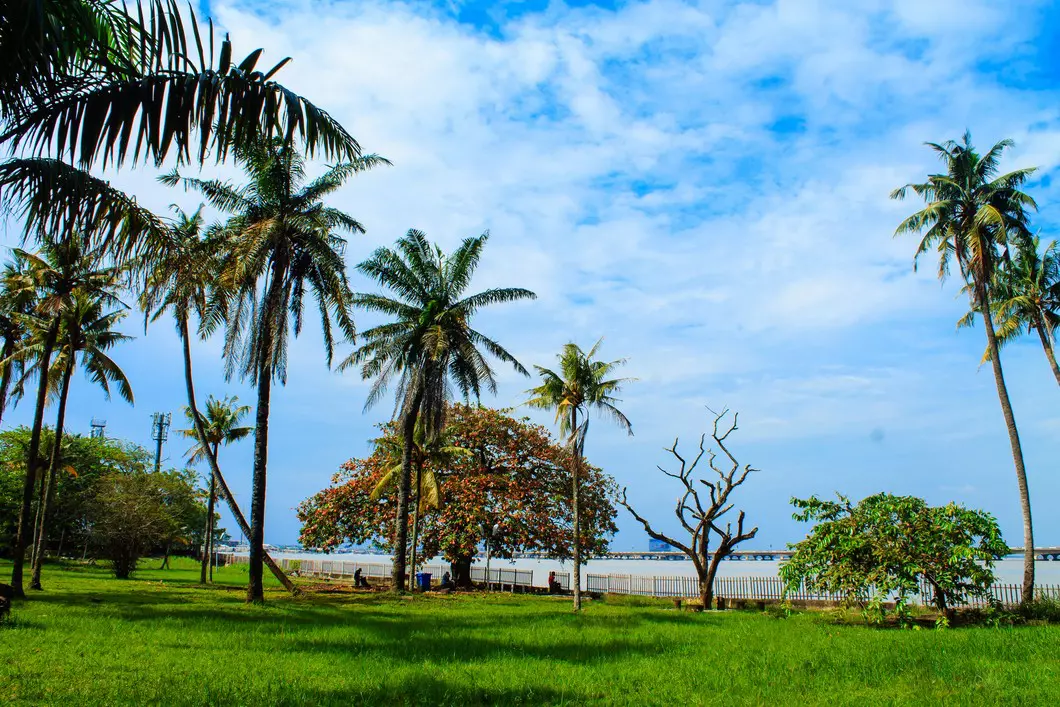 Find shade and relax in one of Lagos' parks © ogedengbe tobi john / Shutterstock