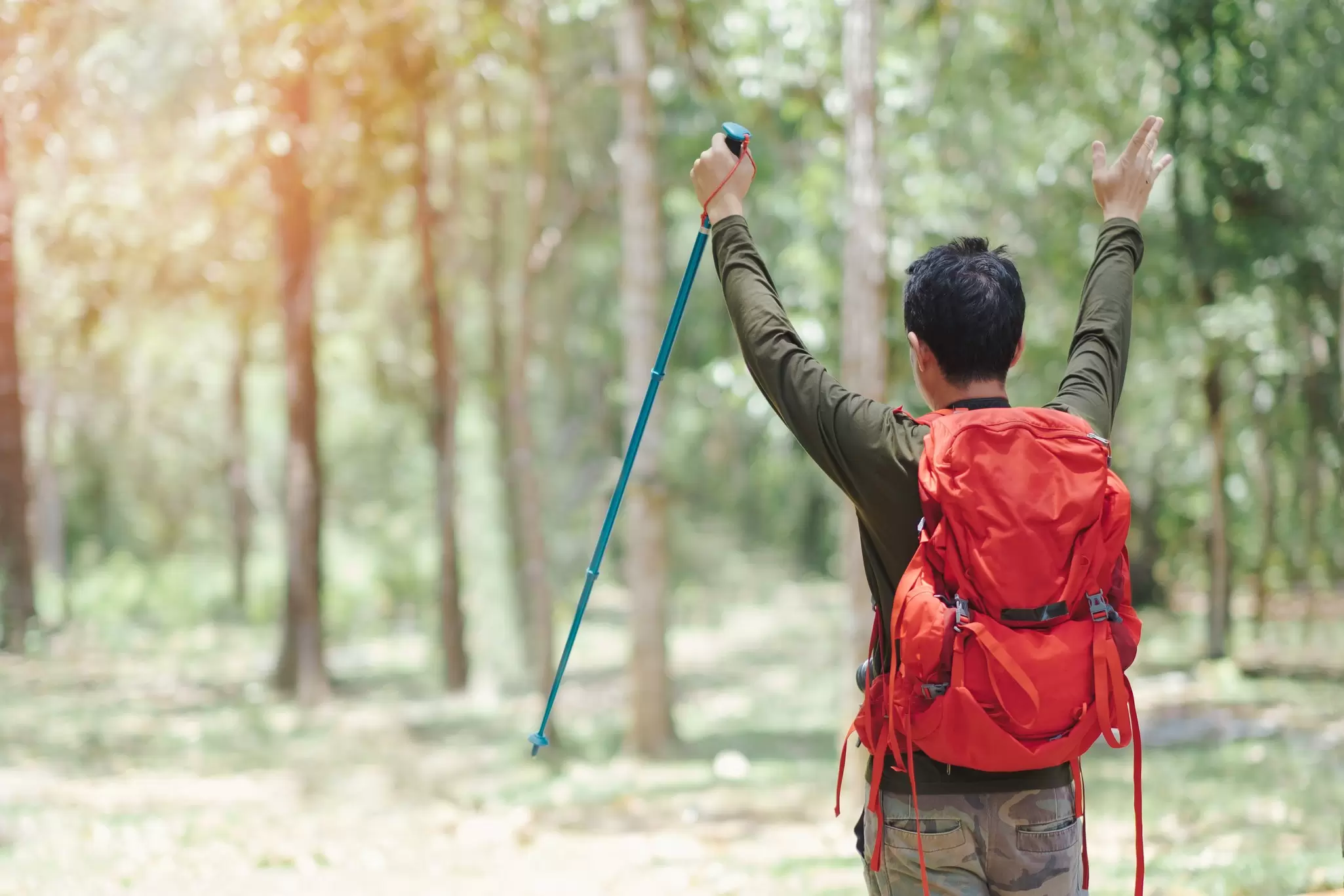 A man in green long sleeve t-shirt and camougflage pants carrying red bag pack holding hilking pole and hand over head with triumph emotion., License Type: media, Download Time: 2025-05-28T10:03:27.000Z, User: lonelyplanetmedia, Editorial: false, purchase_order: 65050 - Digital Destinations and Articles, job: Global Publishing WIP, client: Global Publishing WIP, other: Peterson Haggarty // SS Comp Ingestion