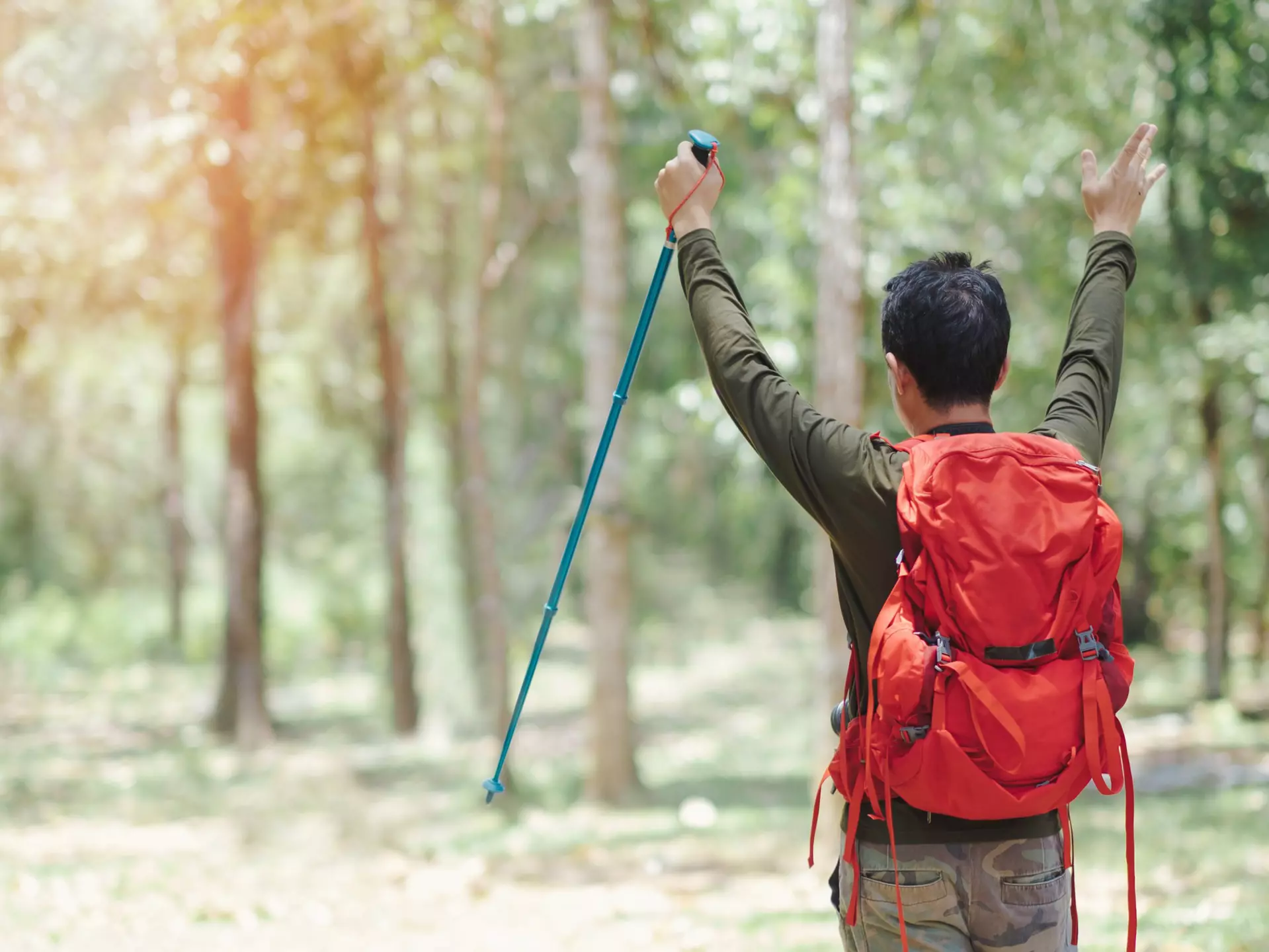 A man in green long sleeve t-shirt and camougflage pants carrying red bag pack holding hilking pole and hand over head with triumph emotion., License Type: media, Download Time: 2025-05-28T10:03:27.000Z, User: lonelyplanetmedia, Editorial: false, purchase_order: 65050 - Digital Destinations and Articles, job: Global Publishing WIP, client: Global Publishing WIP, other: Peterson Haggarty // SS Comp Ingestion