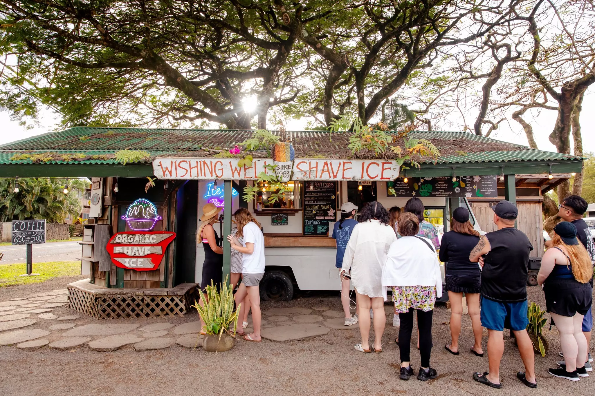 People line up for shaved ice from a truck in a park.