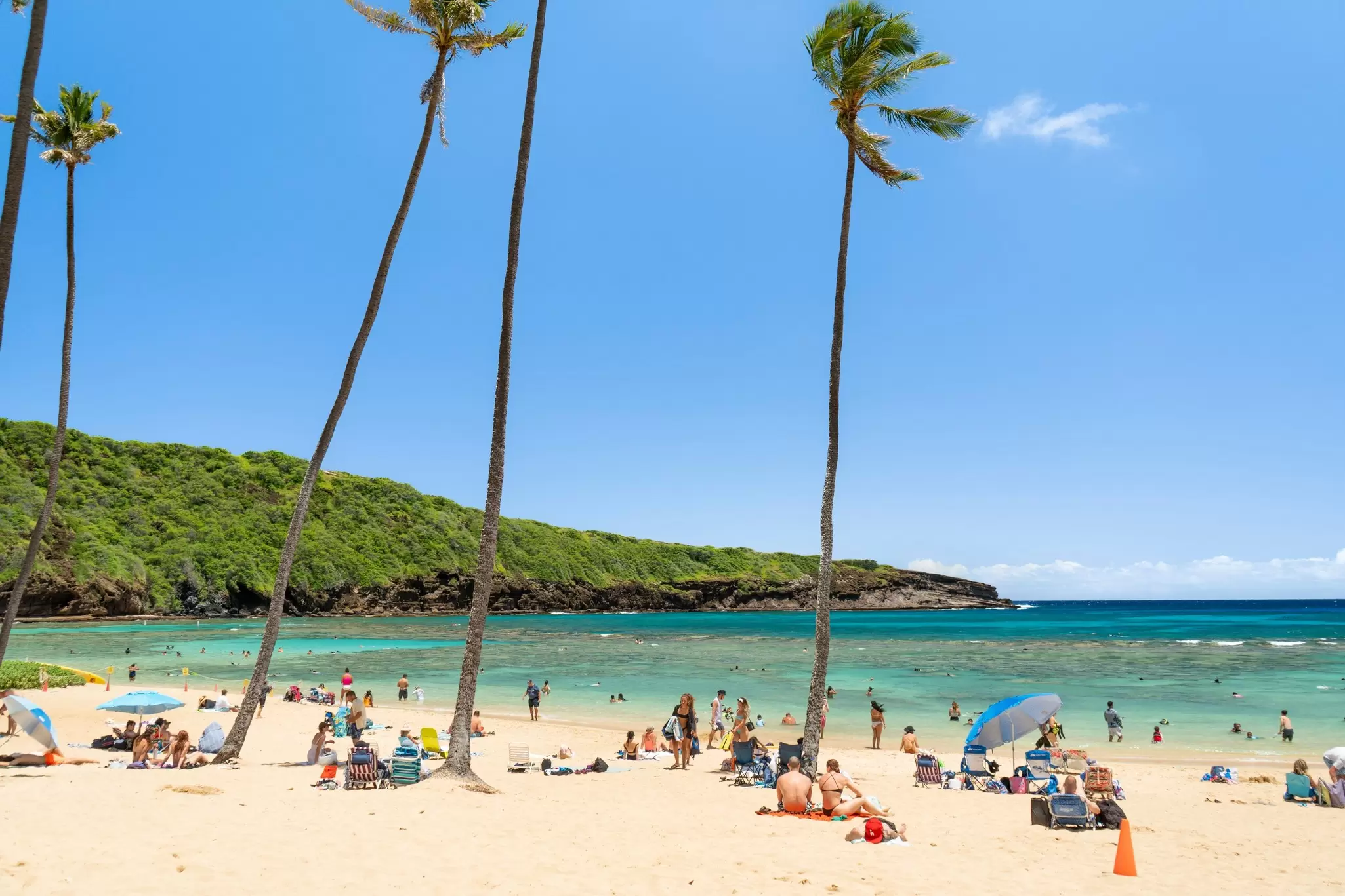 Tall palm trees stand over a beach with golden sand. People sunbathe on the shore; Hanauma Bay on Oʻahu, Hawaii. 