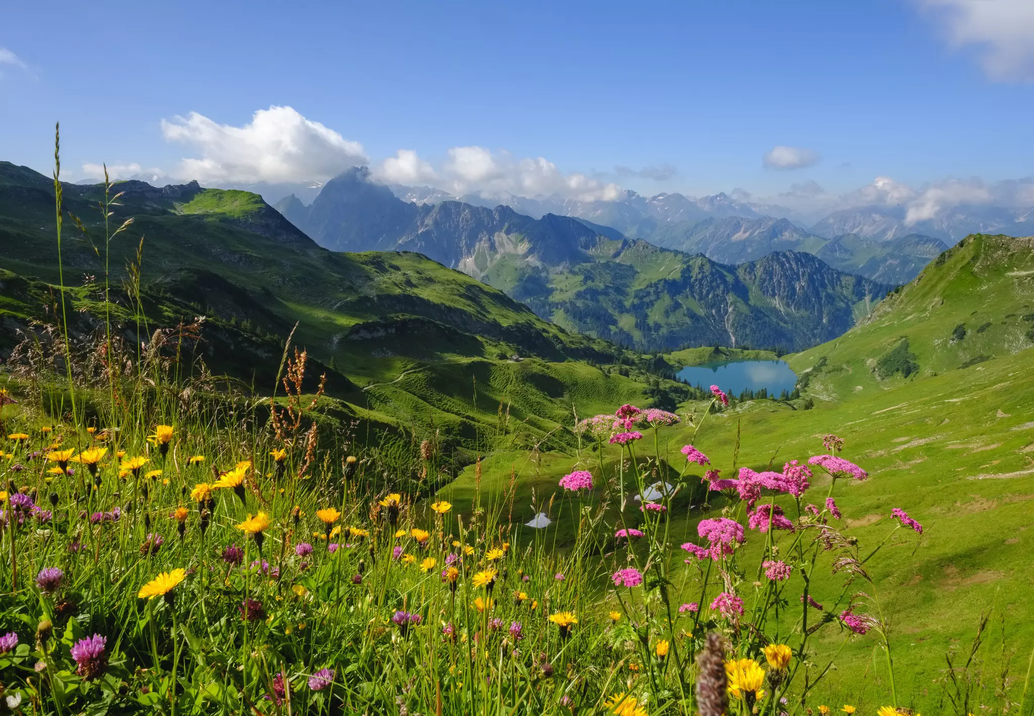 Rolling green hills and mountain peaks, with yellow, pink and purple wild flowers, lead down to a lake
