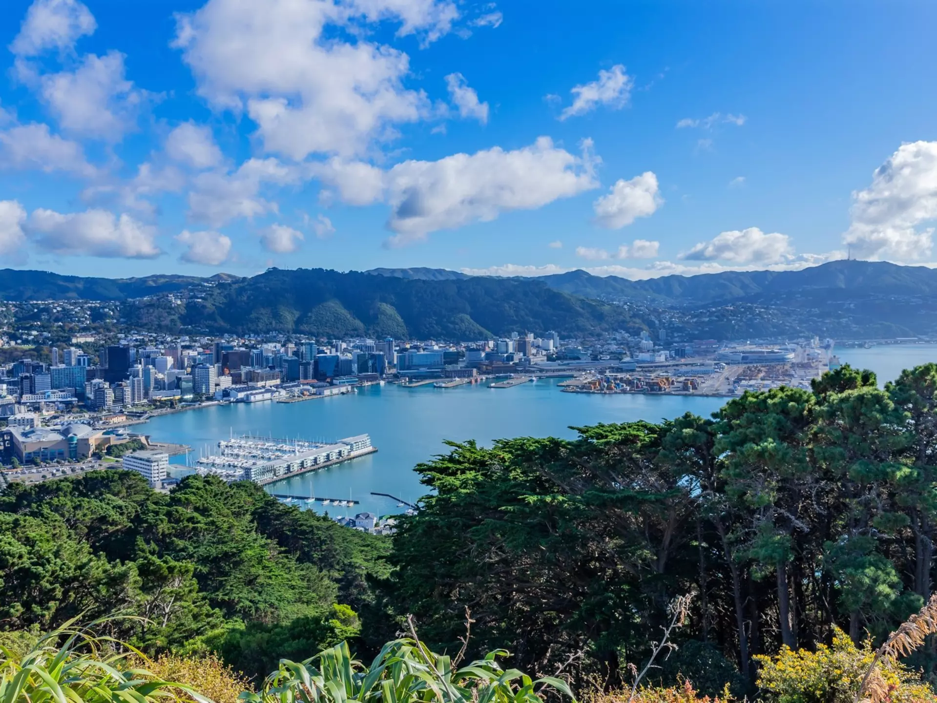 Views of Wellington from Mt Victoria. rui vale sousa/Shutterstock