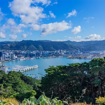Views of Wellington from Mt Victoria. rui vale sousa/Shutterstock