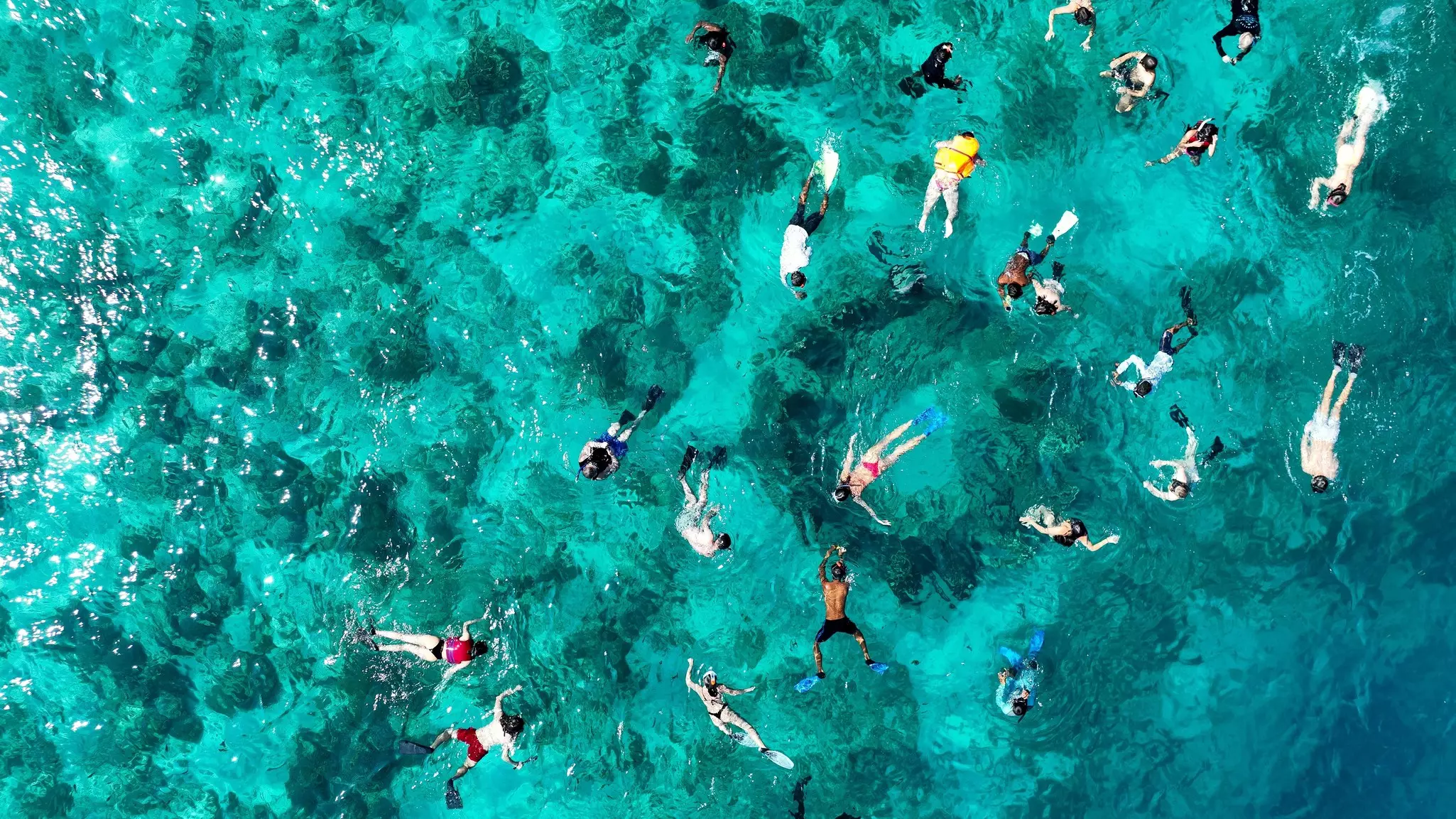 Snorkelers in clear blue water.