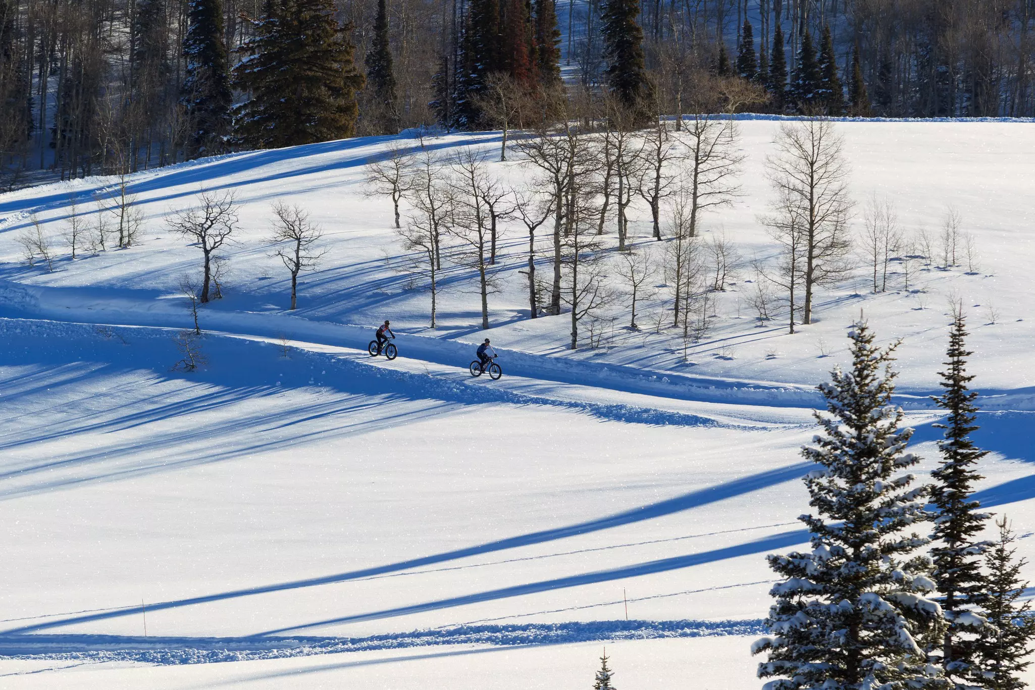Two people biking through a groomed, snowy path