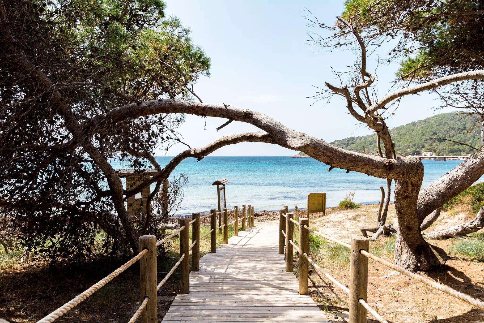 The boardwalk to Las Salinas Beach on the island of Ibiza in Spain.