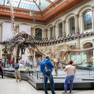 The Dinosaur Hall of the Natural History Museum (Museum für Naturkunde) in Berlin, Germany.