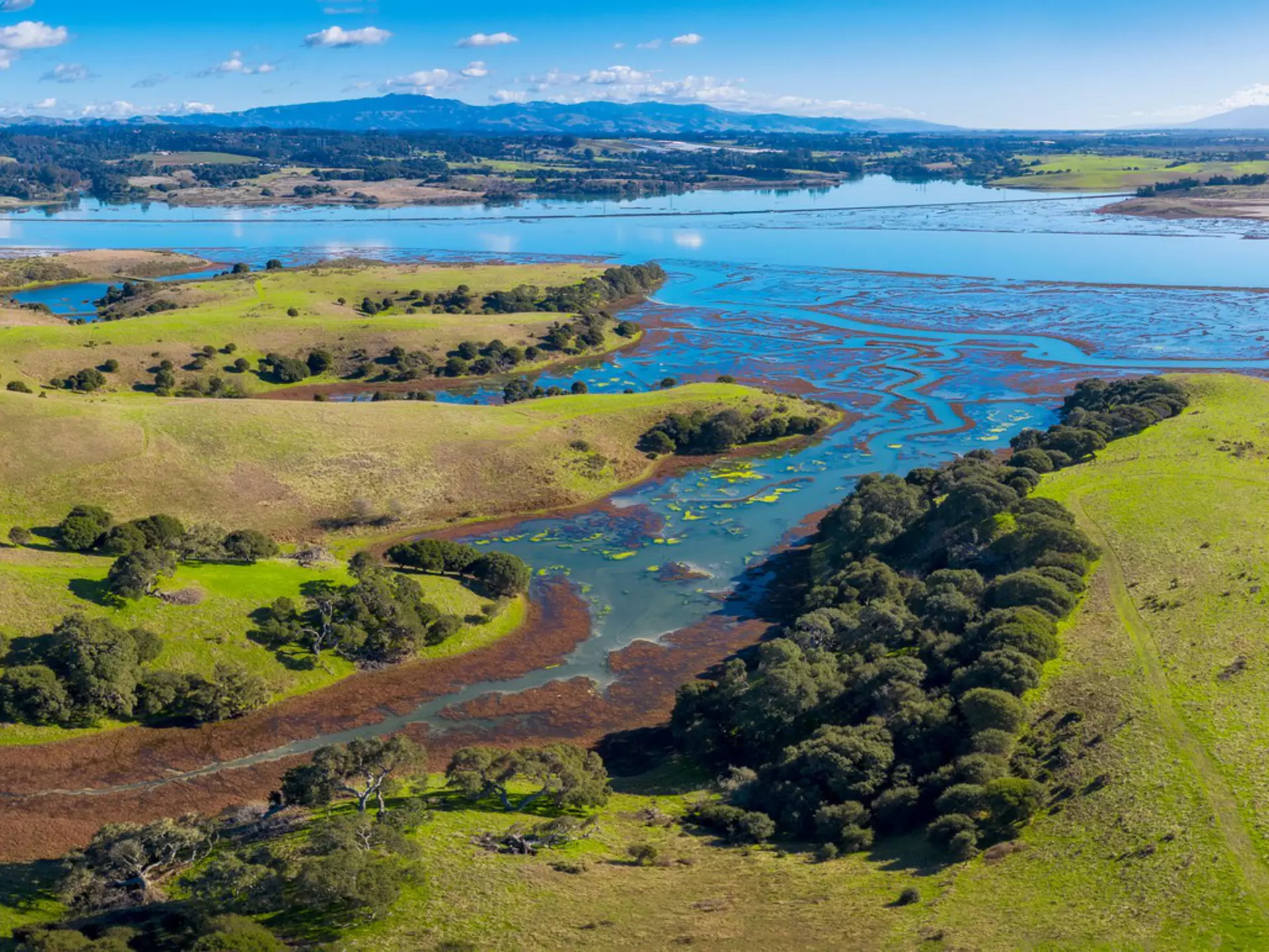 Aerial Panoramic View of Elkhorn Slough, Moss Landing, California. Elkhorn Slough is a 7-mile-long tidal slough and estuary on Monterey Bay in Monterey County, California. , License Type: media, Download Time: 2025-05-29T19:41:31.000Z, User: LP_ASouza, Editorial: false, purchase_order: 65050 - Digital Destinations and Articles, job: Lonely Planet, client: The best day trips from San Francisco, other: Amy Souza